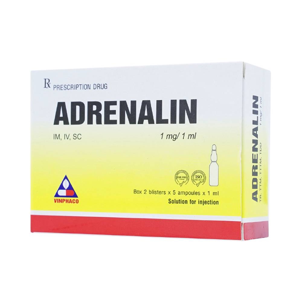 Hình ảnh Dung dịch tiêm Adrenalin 1mg/1ml hồi sức tim phổi, cấp cứu choáng phản vệ (2 vỉ x 5 ống)