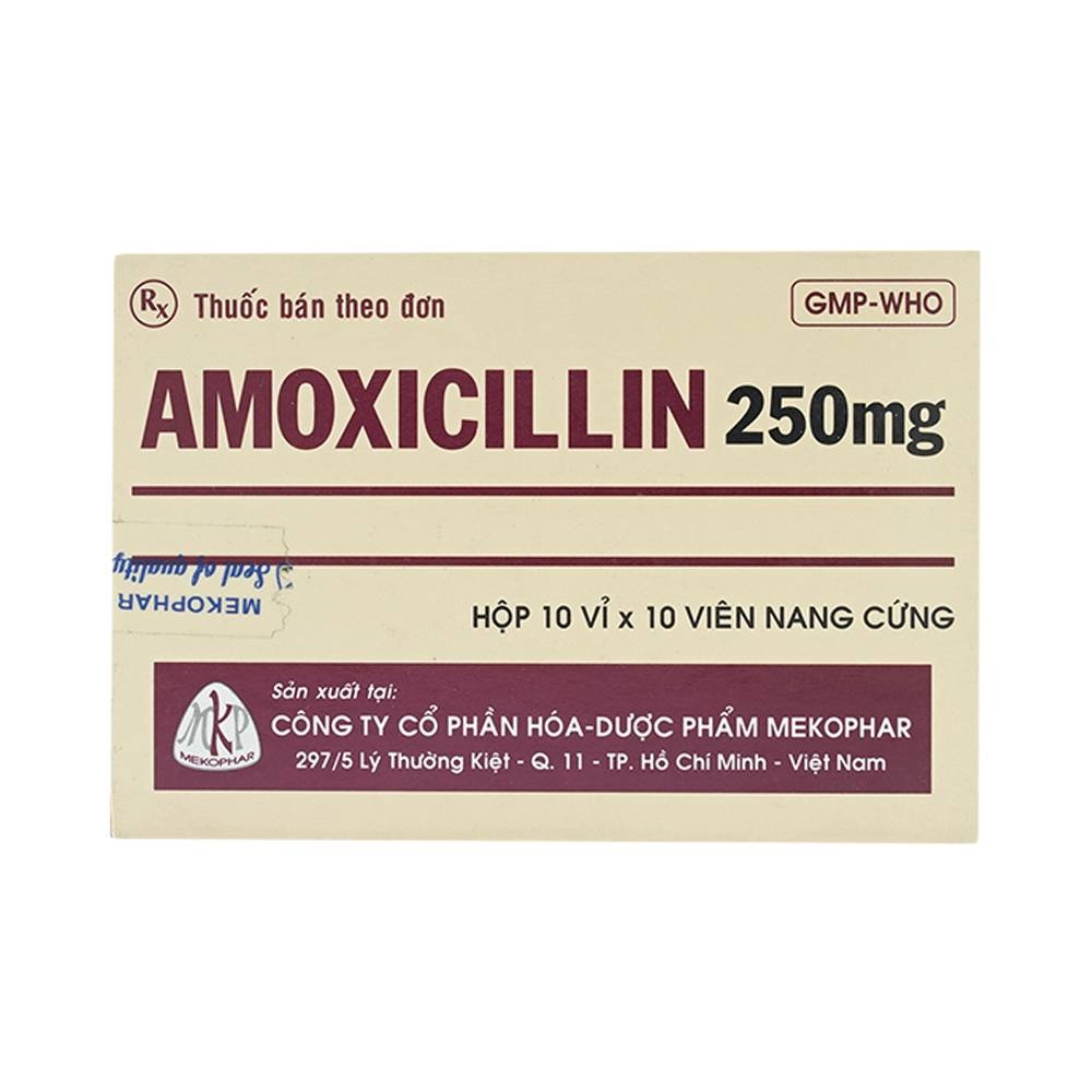 Hình ảnh Thuốc Amoxicillin 250mg Mekophar điều trị nhiễm khuẩn (10 vỉ x 10 viên)