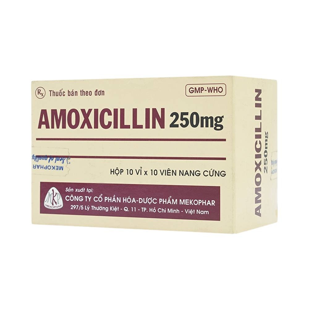 Hình ảnh Thuốc Amoxicillin 250mg Mekophar điều trị nhiễm khuẩn (10 vỉ x 10 viên)