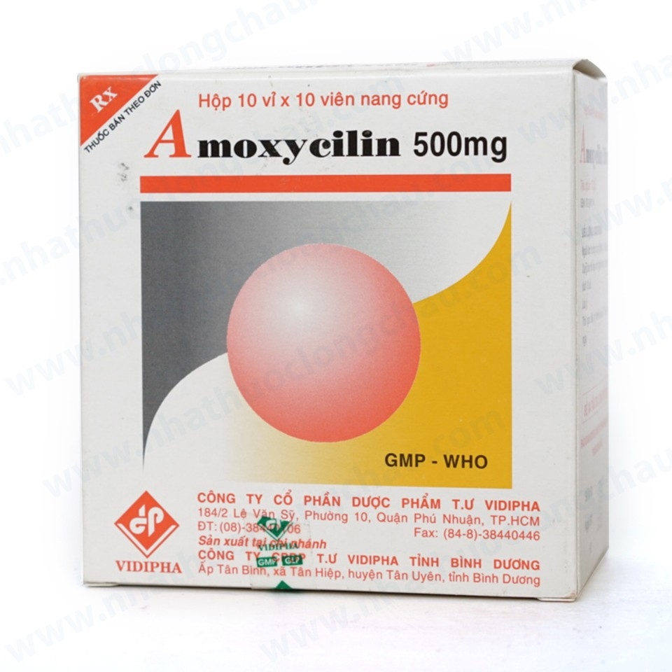 Hình ảnh Thuốc Amoxycilin 500mg Vidipha điều trị nhiễm khuẩn (10 vỉ x 10 viên)