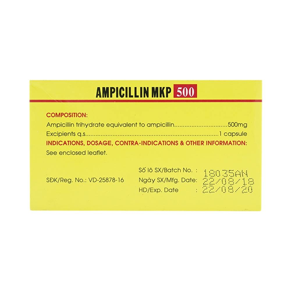 Hình ảnh Thuốc Ampicillin MKP 500 Mekophar điều trị nhiễm khuẩn (10 vỉ x 10 viên)