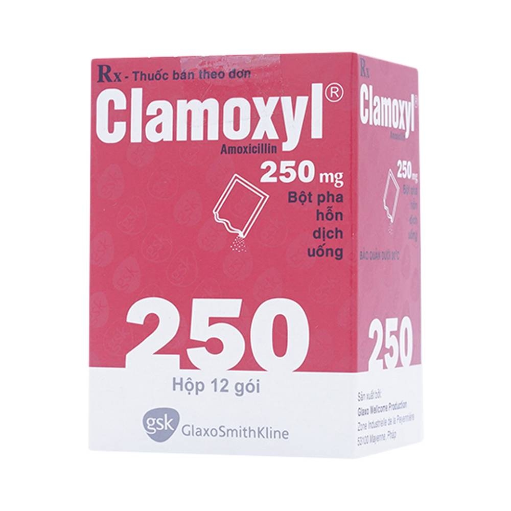 Hình ảnh Bột pha hỗn dịch uống Clamoxyl 250mg GSK điều trị nhiễm khuẩn (12 gói)
