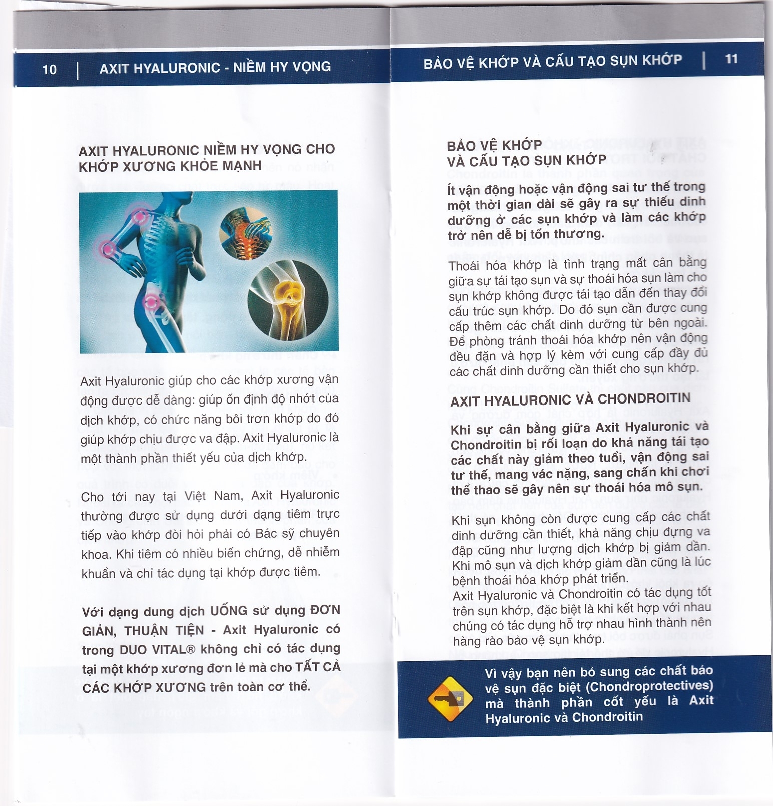 Hình ảnh Dung dịch Duo Vital 500ml Gramme Revit giảm đau nhức khớp, thoái hoá khớp