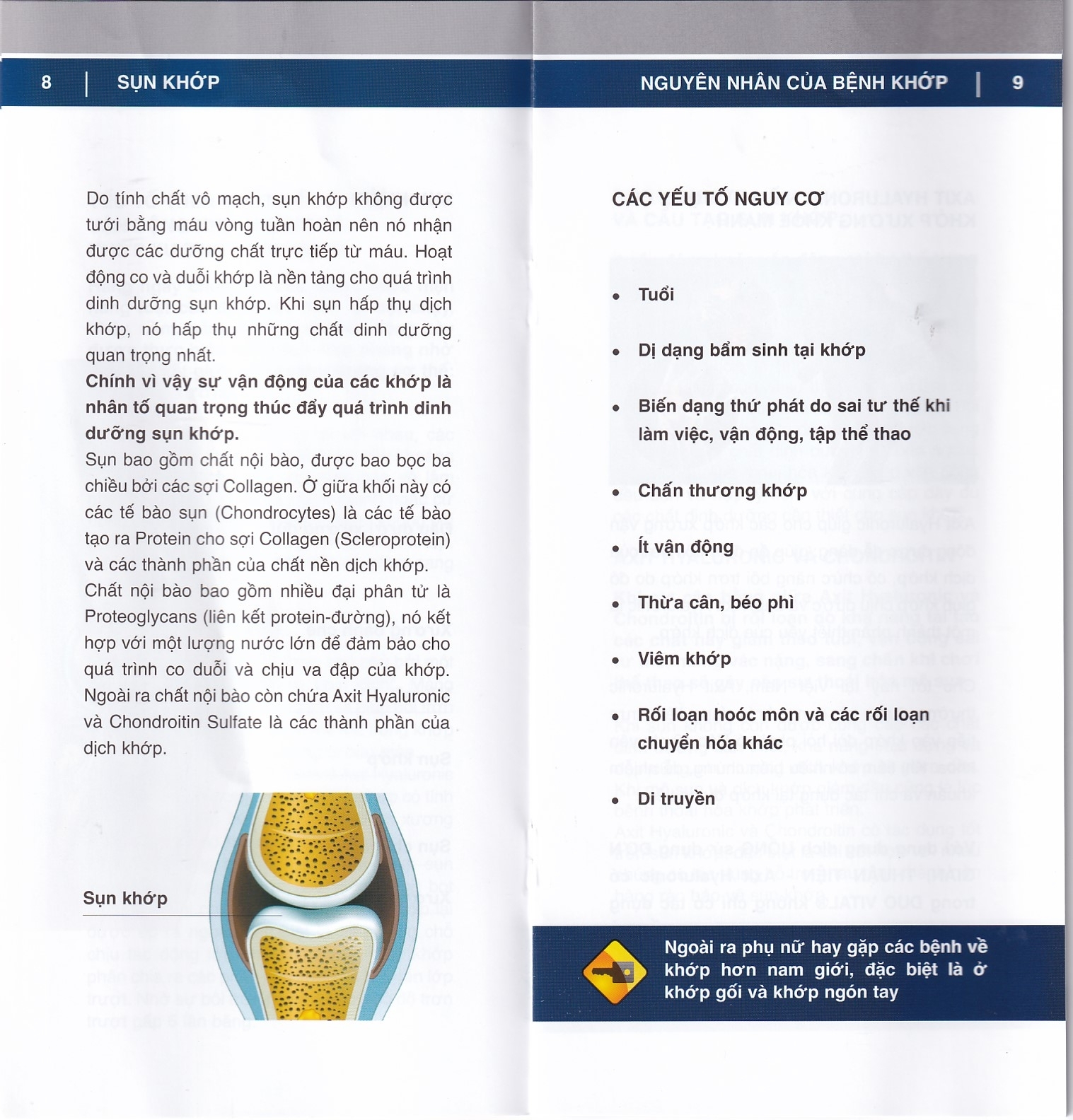 Hình ảnh Dung dịch Duo Vital 500ml Gramme Revit giảm đau nhức khớp, thoái hoá khớp