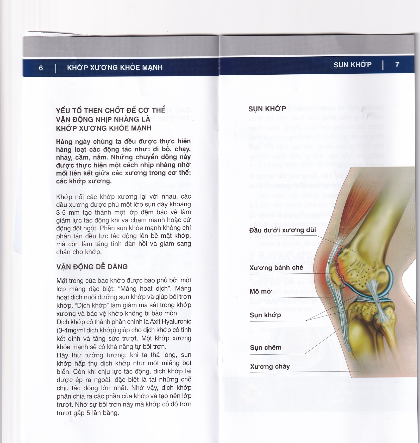 Hình ảnh Dung dịch Duo Vital 500ml Gramme Revit giảm đau nhức khớp, thoái hoá khớp