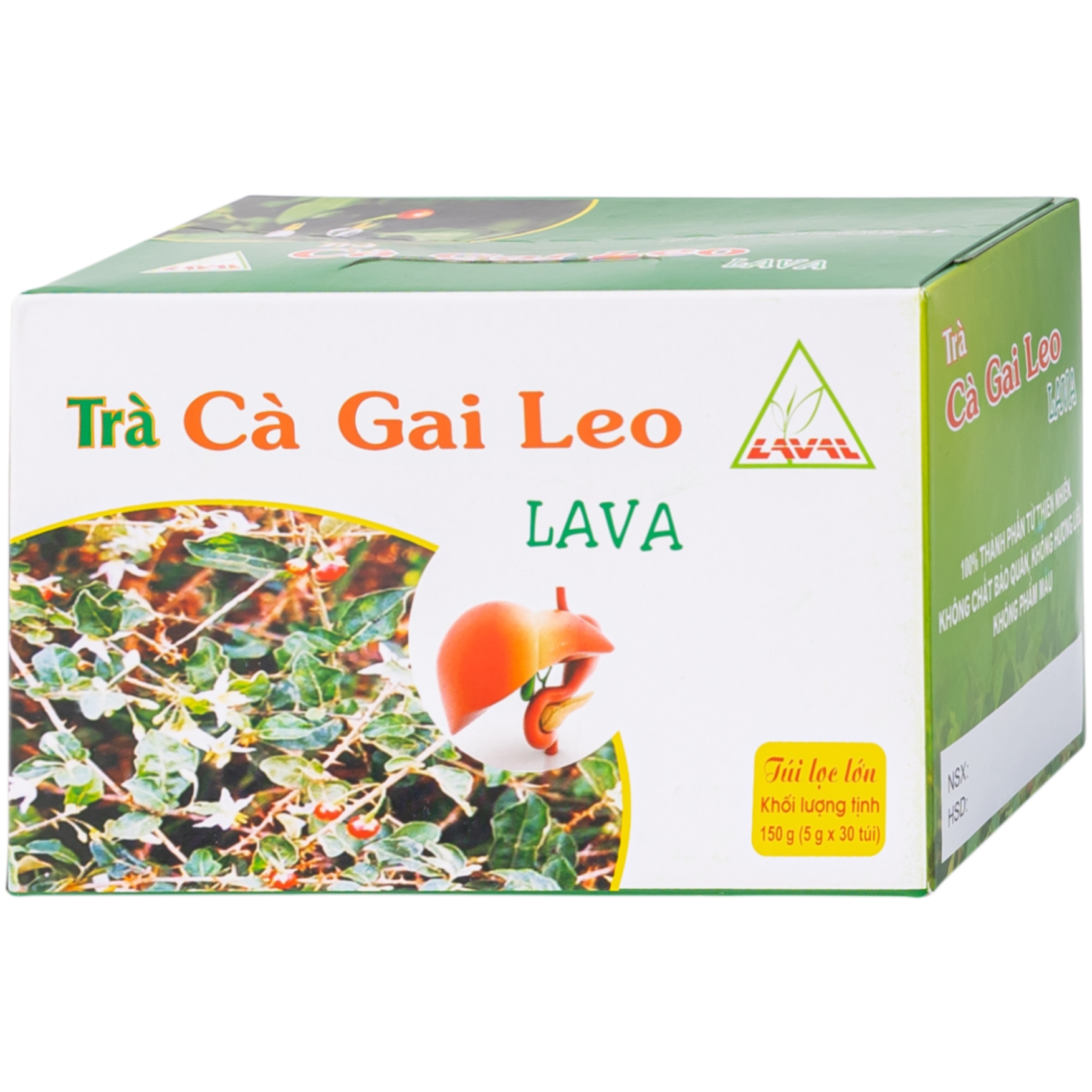 Hình ảnh Trà túi lọc Cà Gai Leo Lava hỗ trợ bổ gan, giải độc gan, hạ men gan (5g x 30 túi)