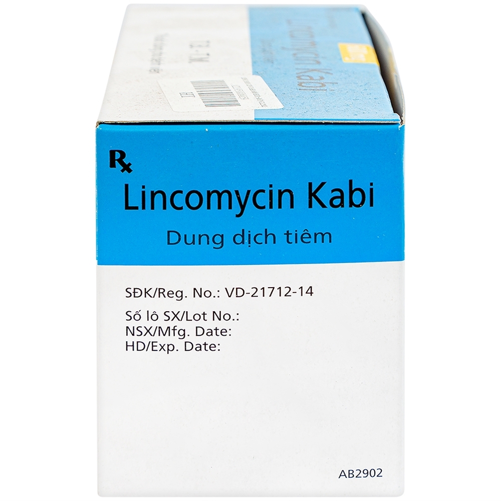 Hình ảnh Thuốc tiêm Lincomycin Kabi điều trị nhiễm khuẩn nặng (50 ống x 2ml)