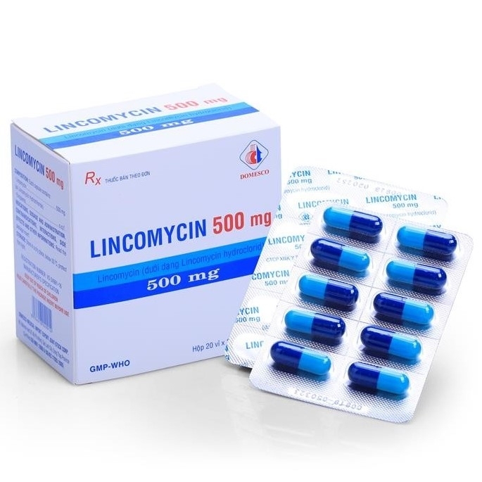 Hình ảnh Thuốc Lincomycin 500mg Domesco điều trị các chứng nhiễm khuẩn (20 vỉ x 10 viên)