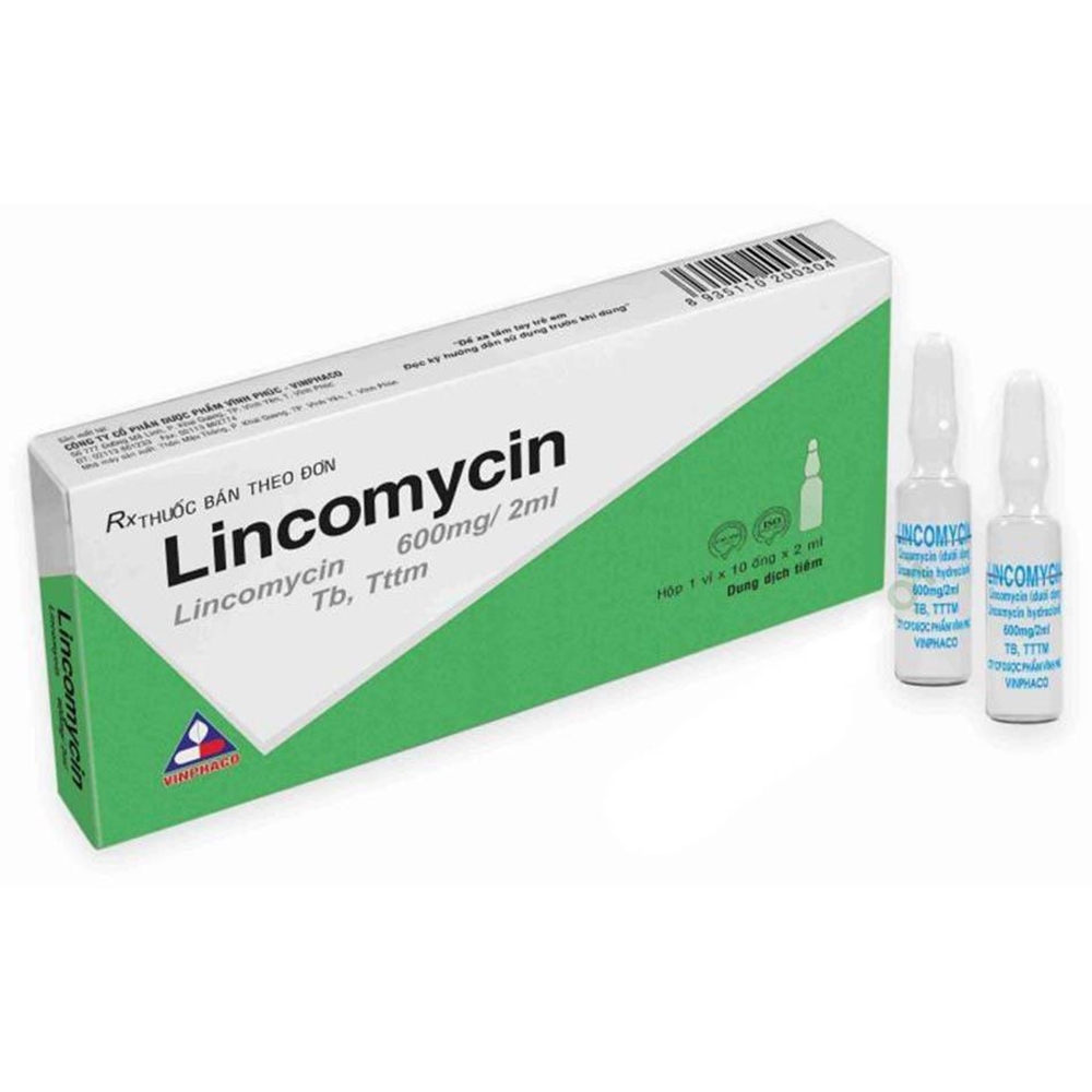 Hình ảnh Dung dịch tiêm Lincomycin 600mg/2ml Vinphaco điều trị nhiễm khuẩn xương, phụ khoa (1 vỉ x 10 ống)