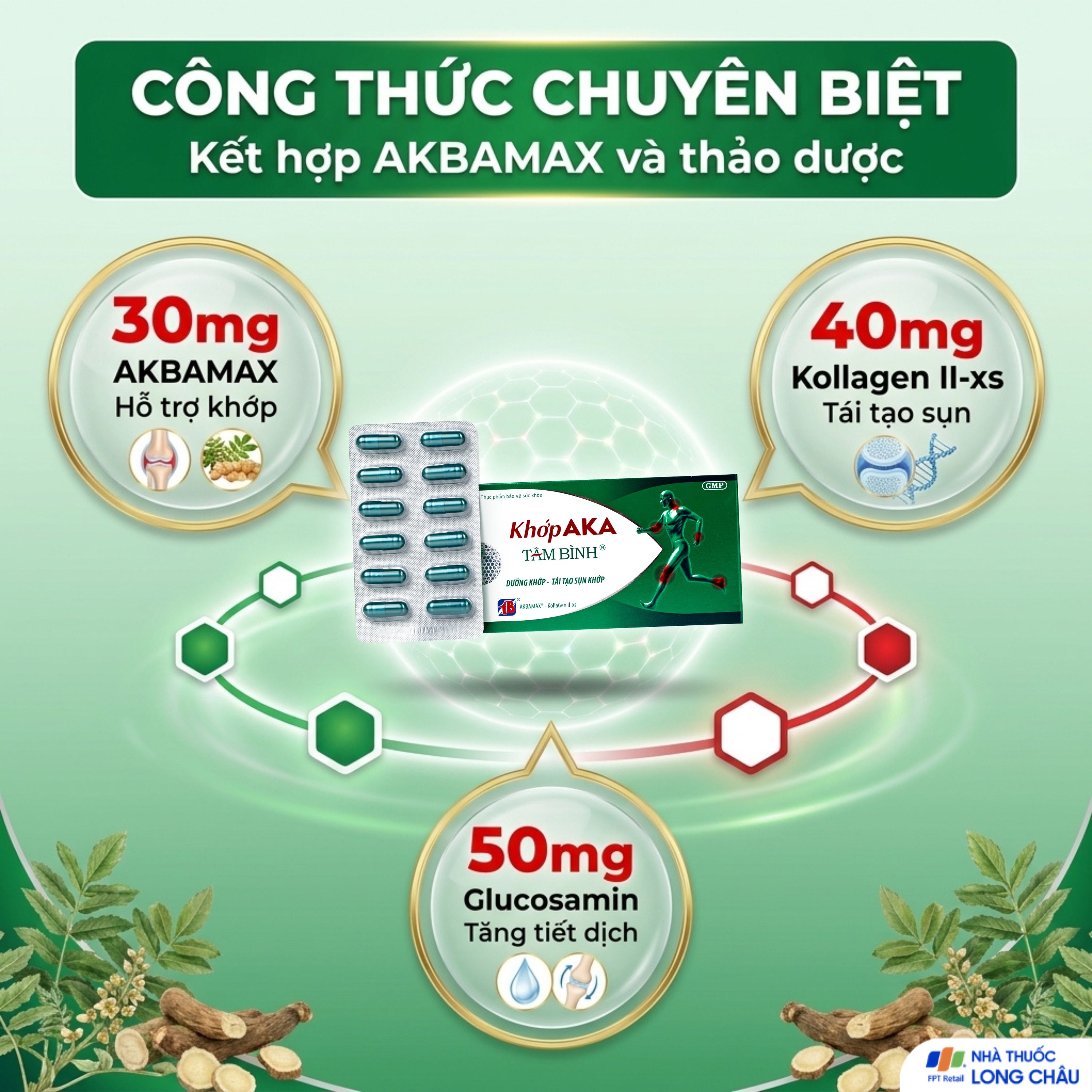 Hình ảnh Viên uống dưỡng khớp, tái tạo sụn khớp AKA Tâm Bình (5 vỉ x 12 viên)