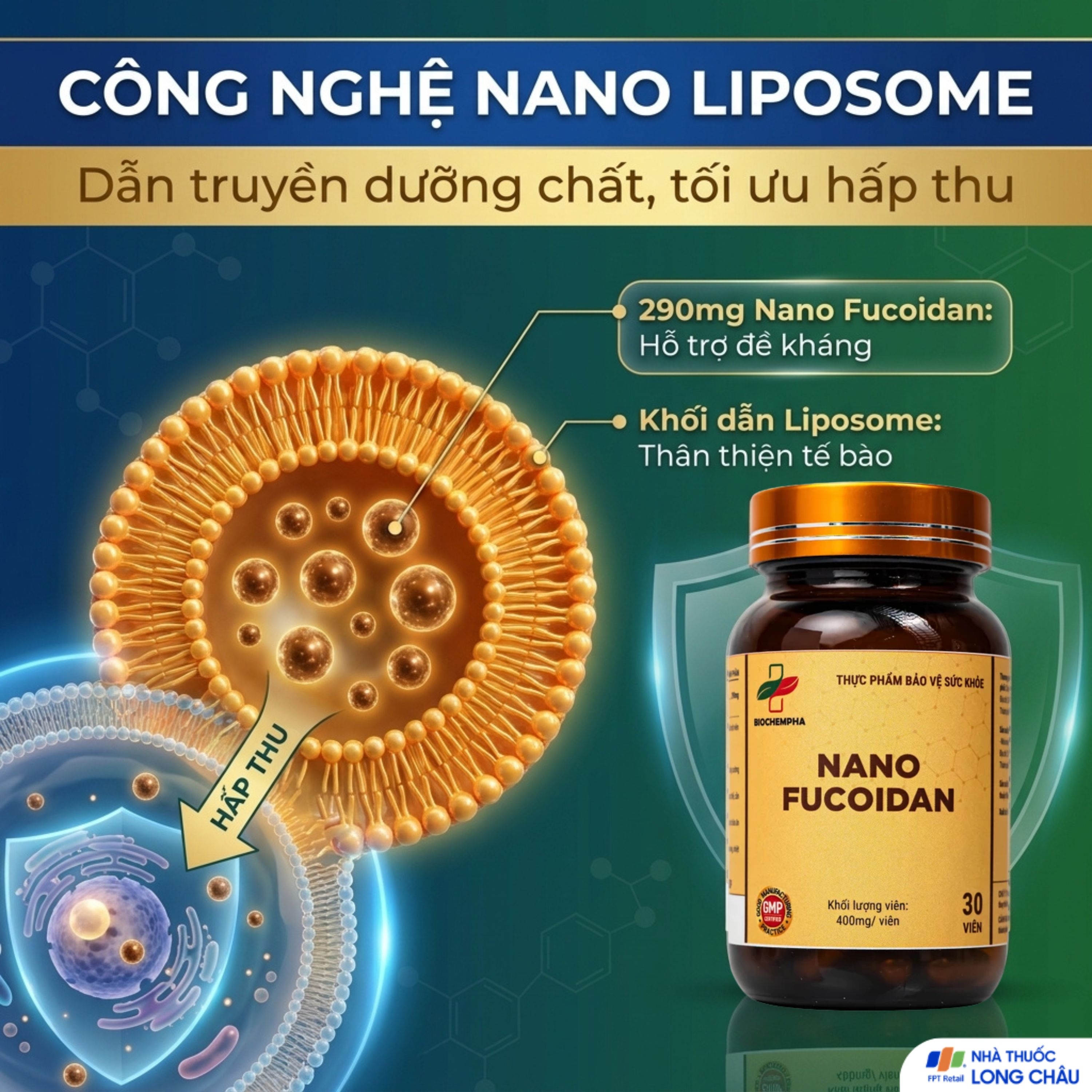 Hình ảnh Viên uống hỗ trợ chống oxy hóa, hạn chế gốc tự do, tăng cường sức khỏe Nano Fucoidan Biochempha 30v