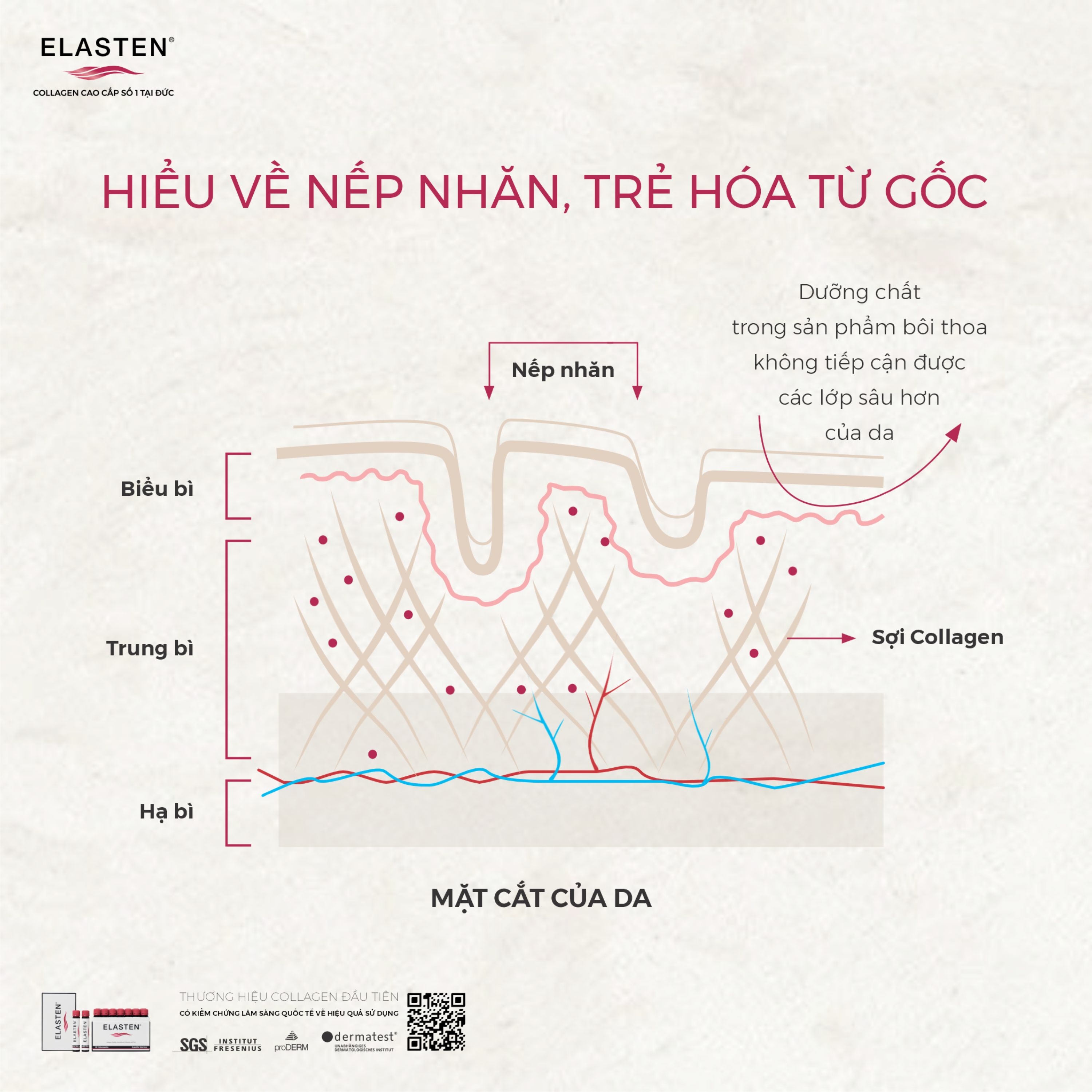 Hình ảnh Nước uống bổ sung Collagen-Peptide, giúp giảm lão hóa da, tăng độ đàn hồi và giữ ẩm cho da, giúp da sáng mịn Elasten (28+2 ống x 25ml)