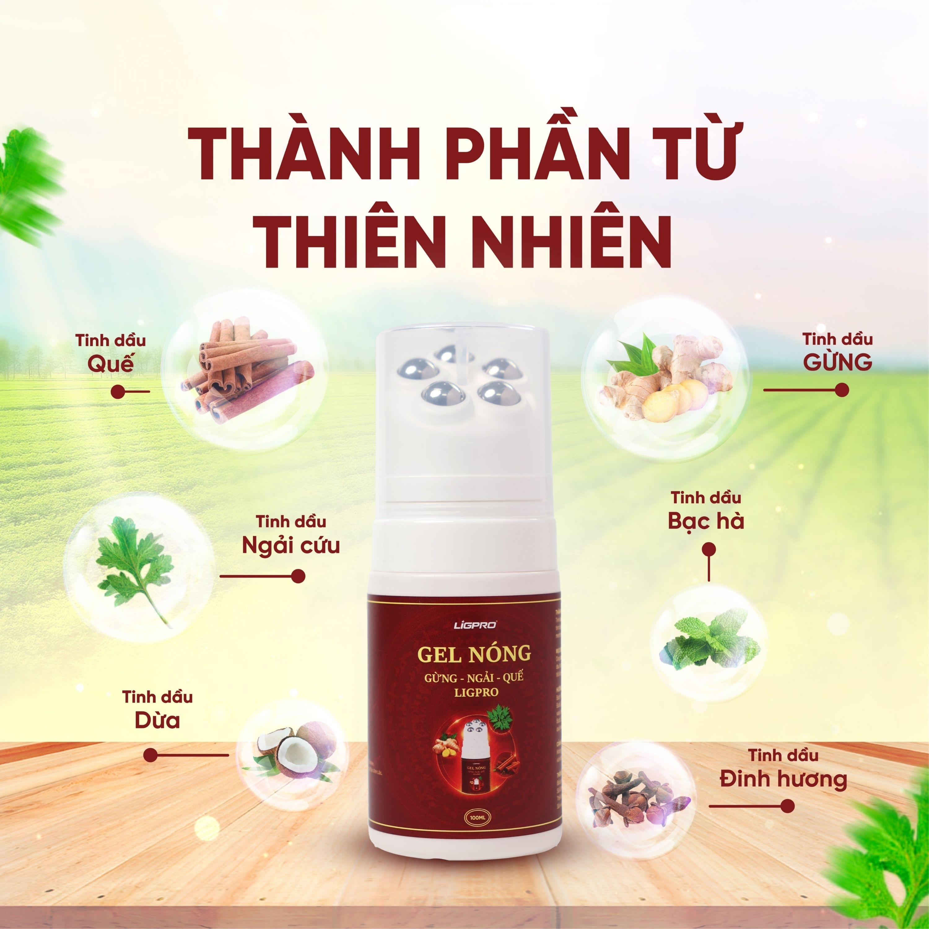 Hình ảnh Gel nóng con lăn massage Gừng - Ngải - Quế Ligpro giúp làm ấm, giảm đau nhức, thư giãn cơ bắp (100ml)