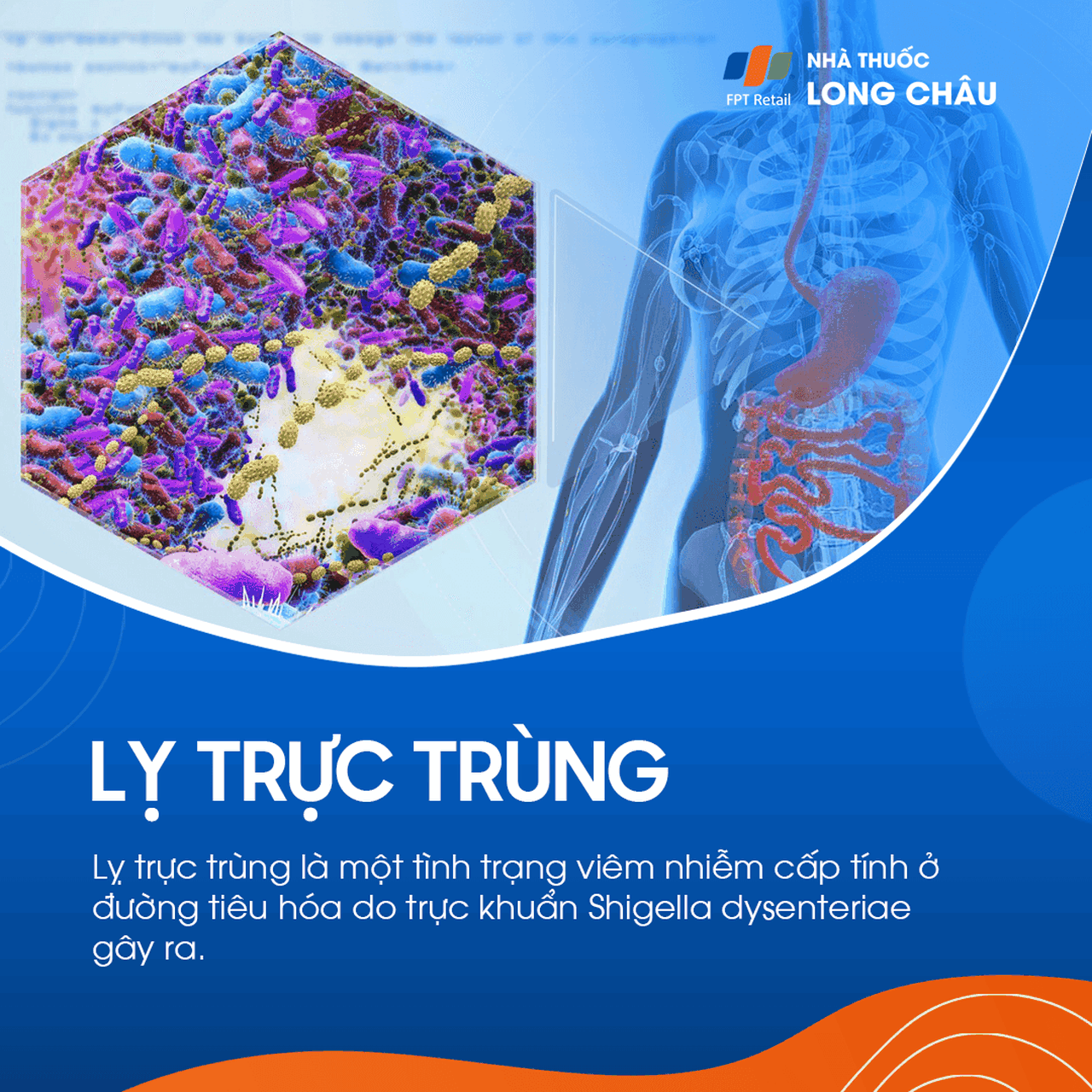 Lỵ trực trùng 1