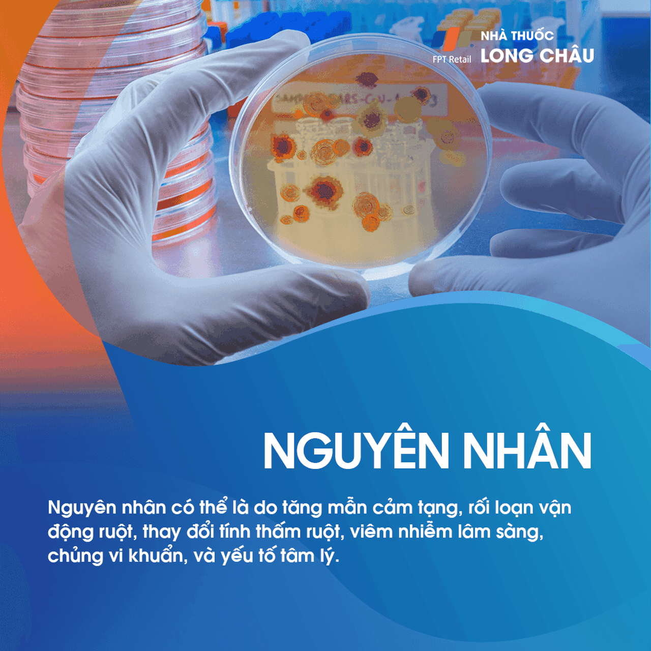 Hội chứng ruột kích thích 3