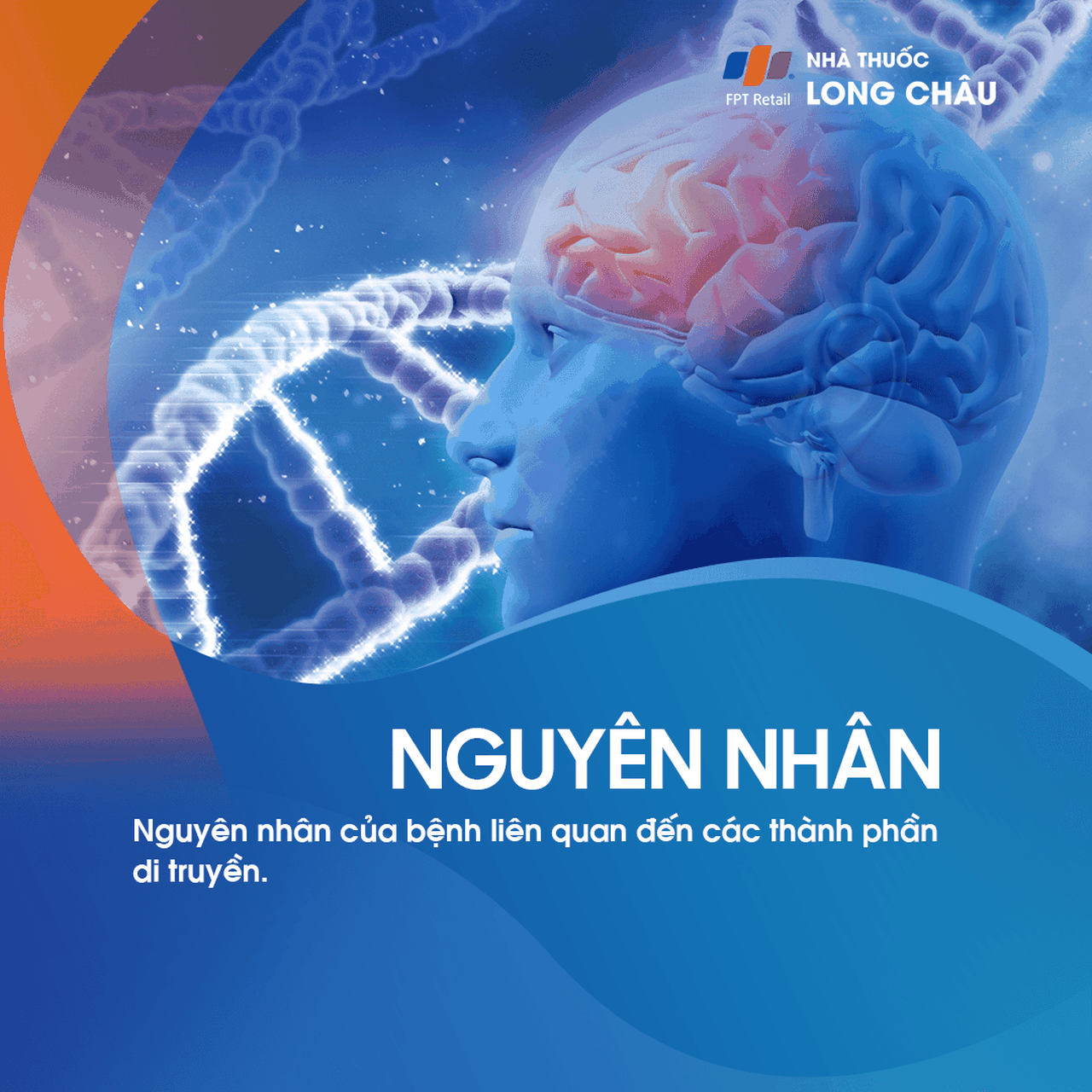 Nguyên nhân của đau đầu vận mạch bao gồm sự thay đổi trong tuần hoàn máu và sự co giãn bất thường của các mạch máu não