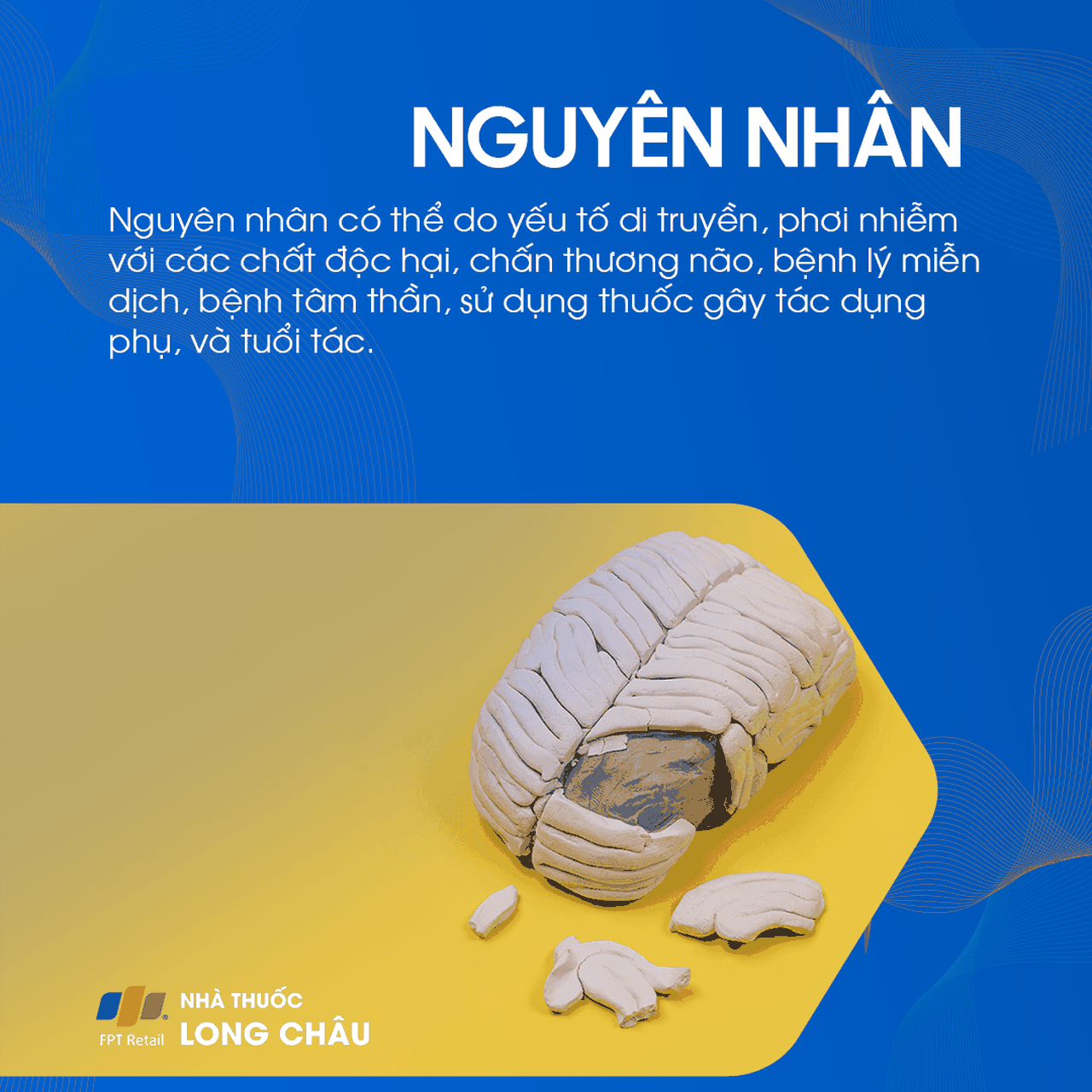 Suy giảm nhận thức 3