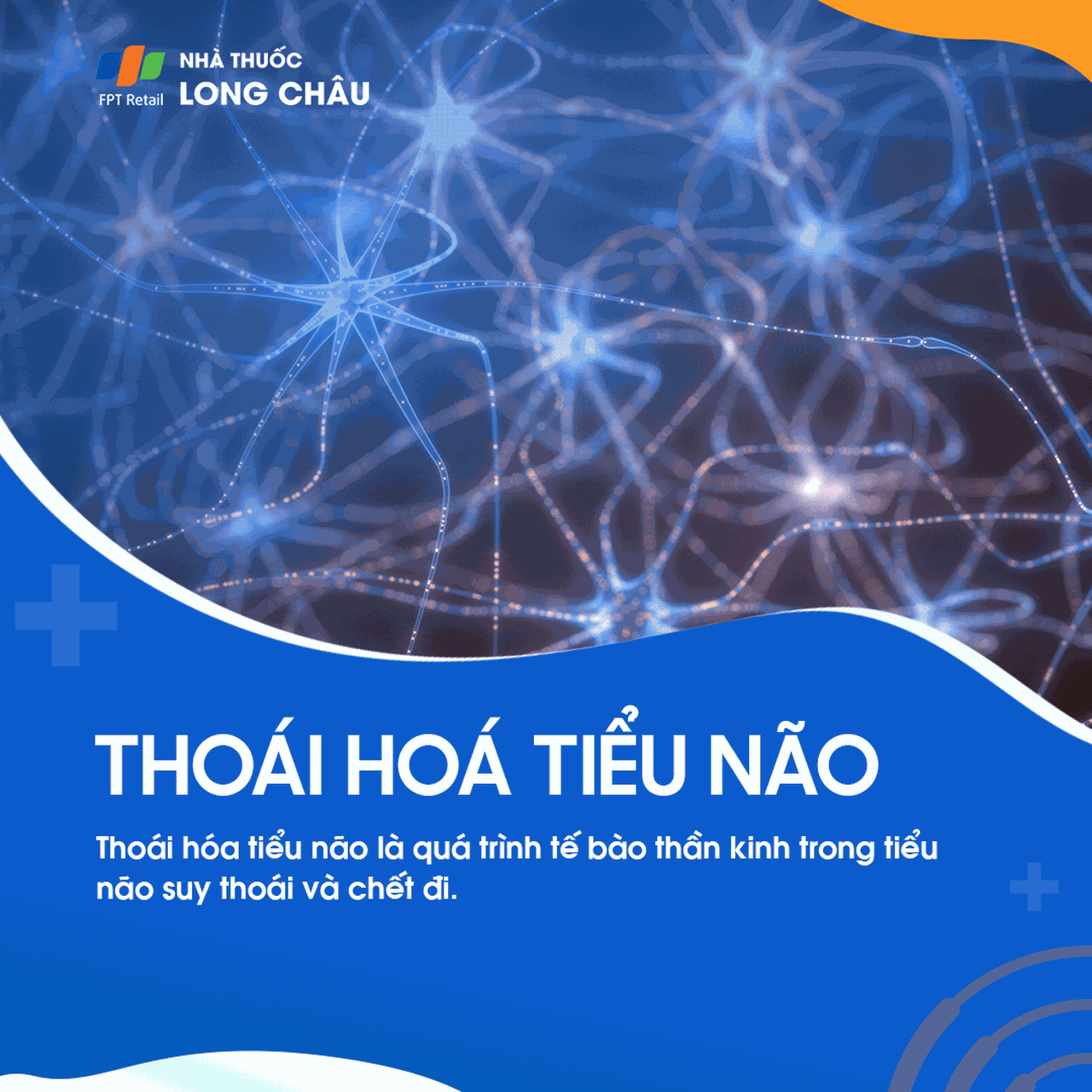 Thoái hóa tiểu não 1