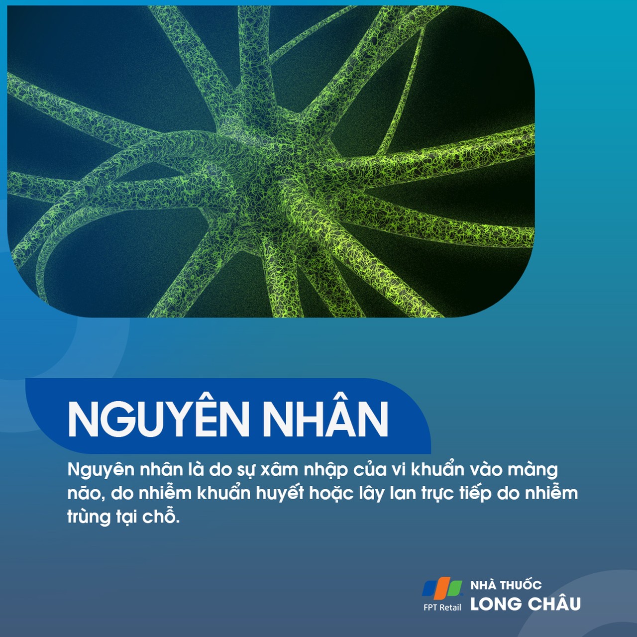 Viêm màng não mủ 4