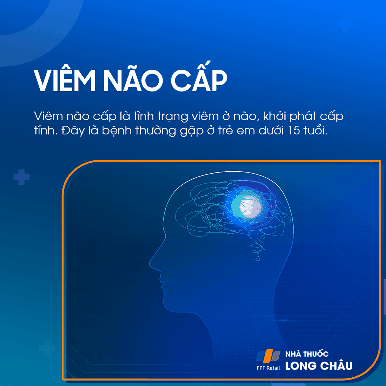 Viêm não cấp 1