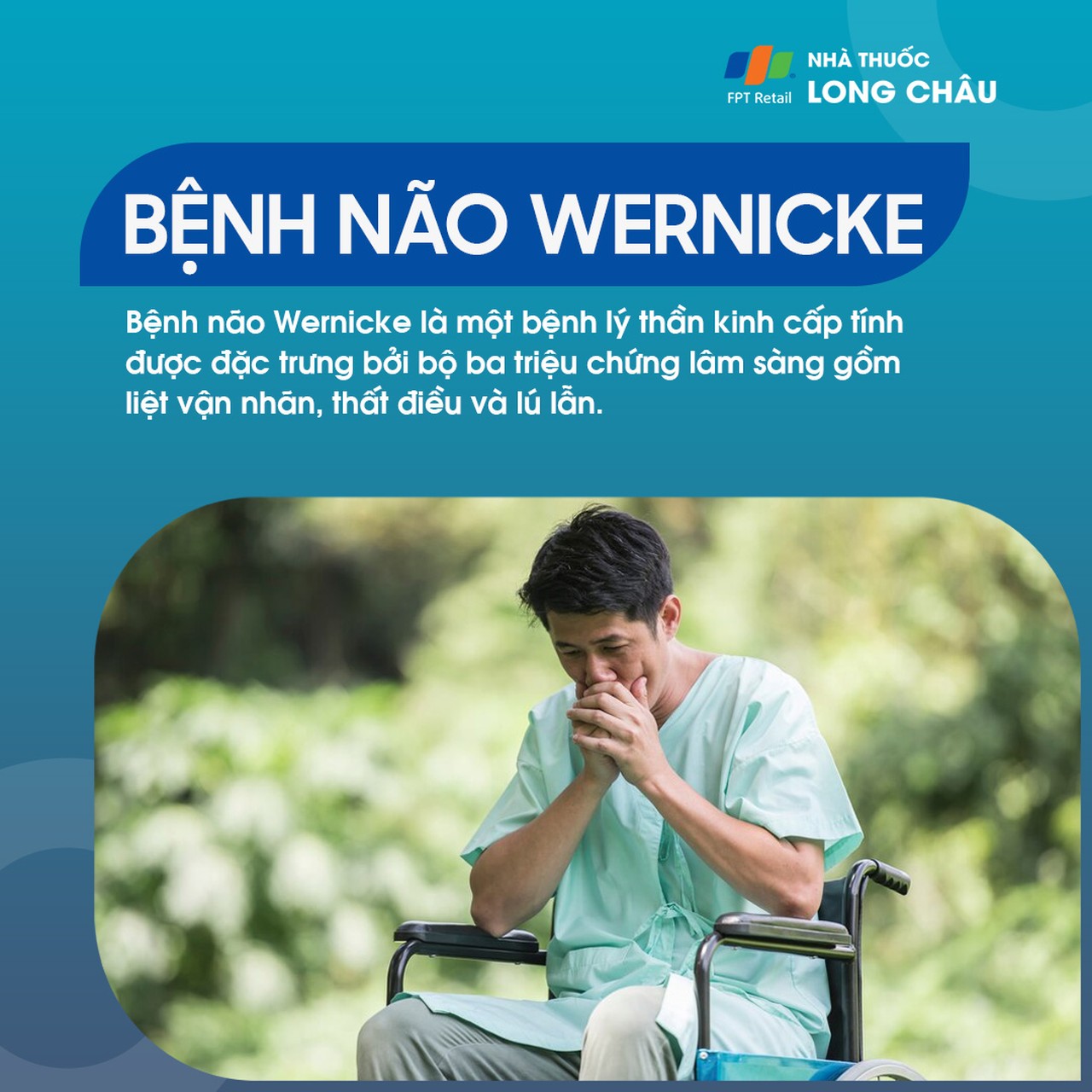 Bệnh não Wernicke 1