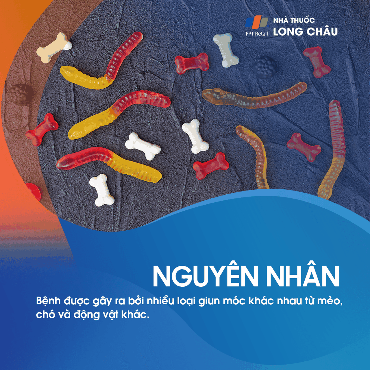 Ấu trùng da di chuyển 3