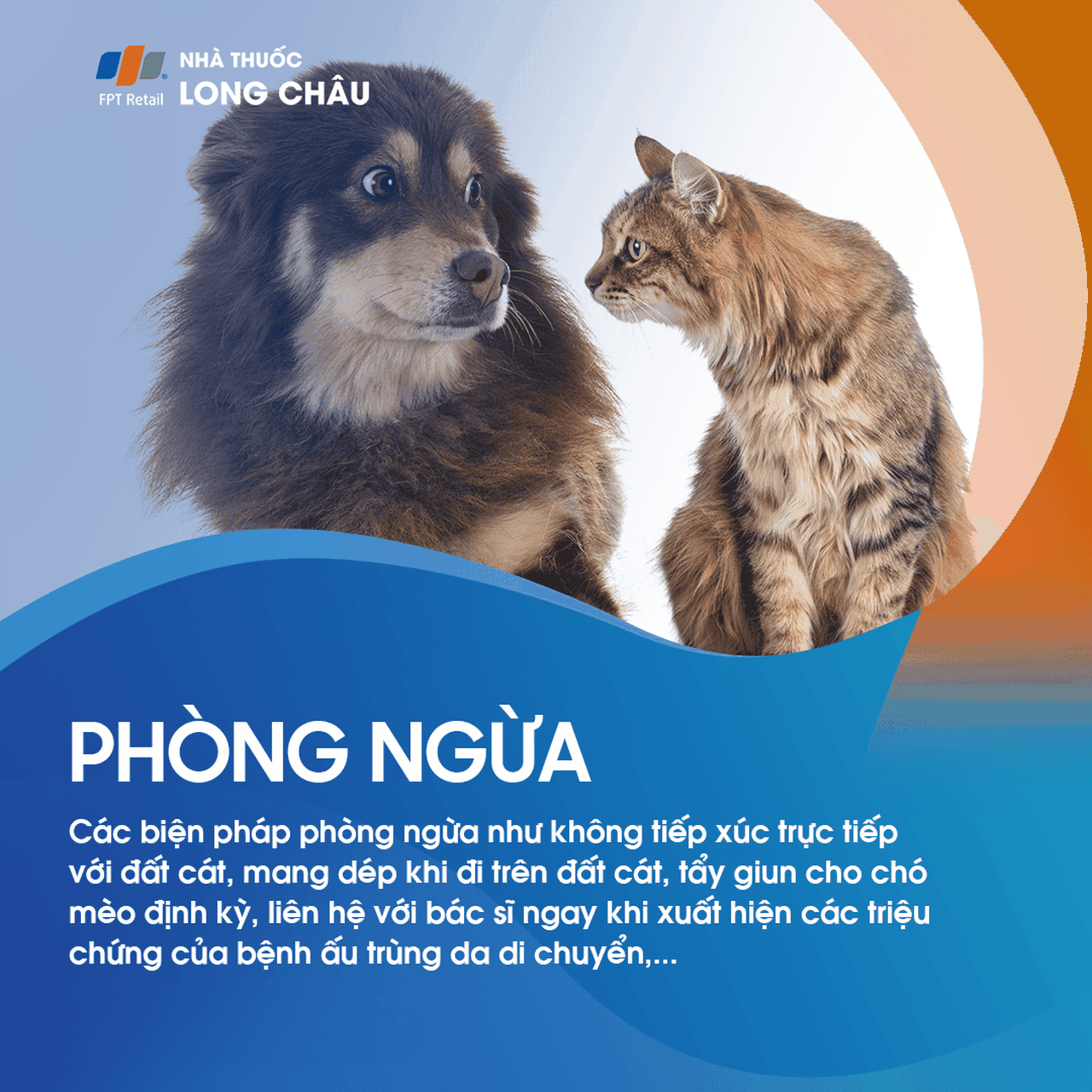 Ấu trùng da di chuyển 8