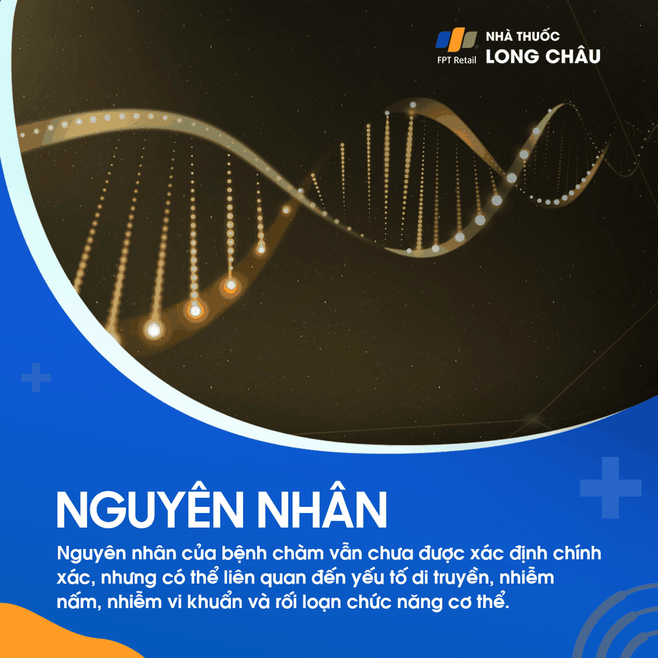 Nguyên nhân chàm chưa xác định chính xác, nhưng có thể liên quan đến di truyền, nhiễm khuẩn, nấm và rối loạn miễn dịch