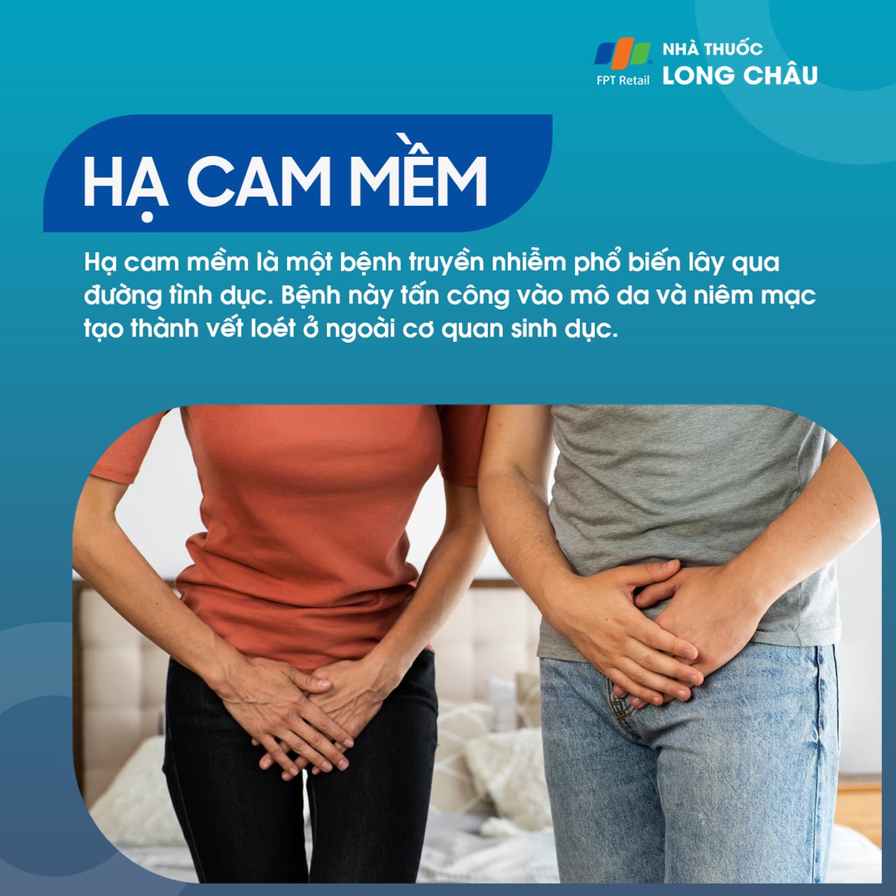 Hạ cam mềm 1