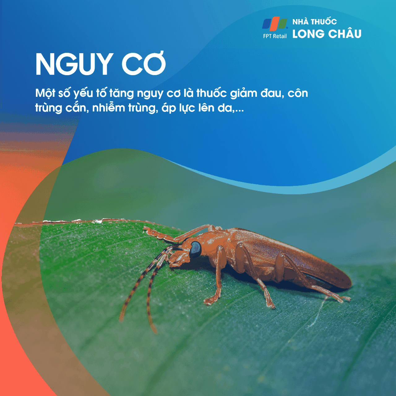 Đối tượng có nguy cơ cao gặp phải mề đay bao gồm người có tiền sử dị ứng