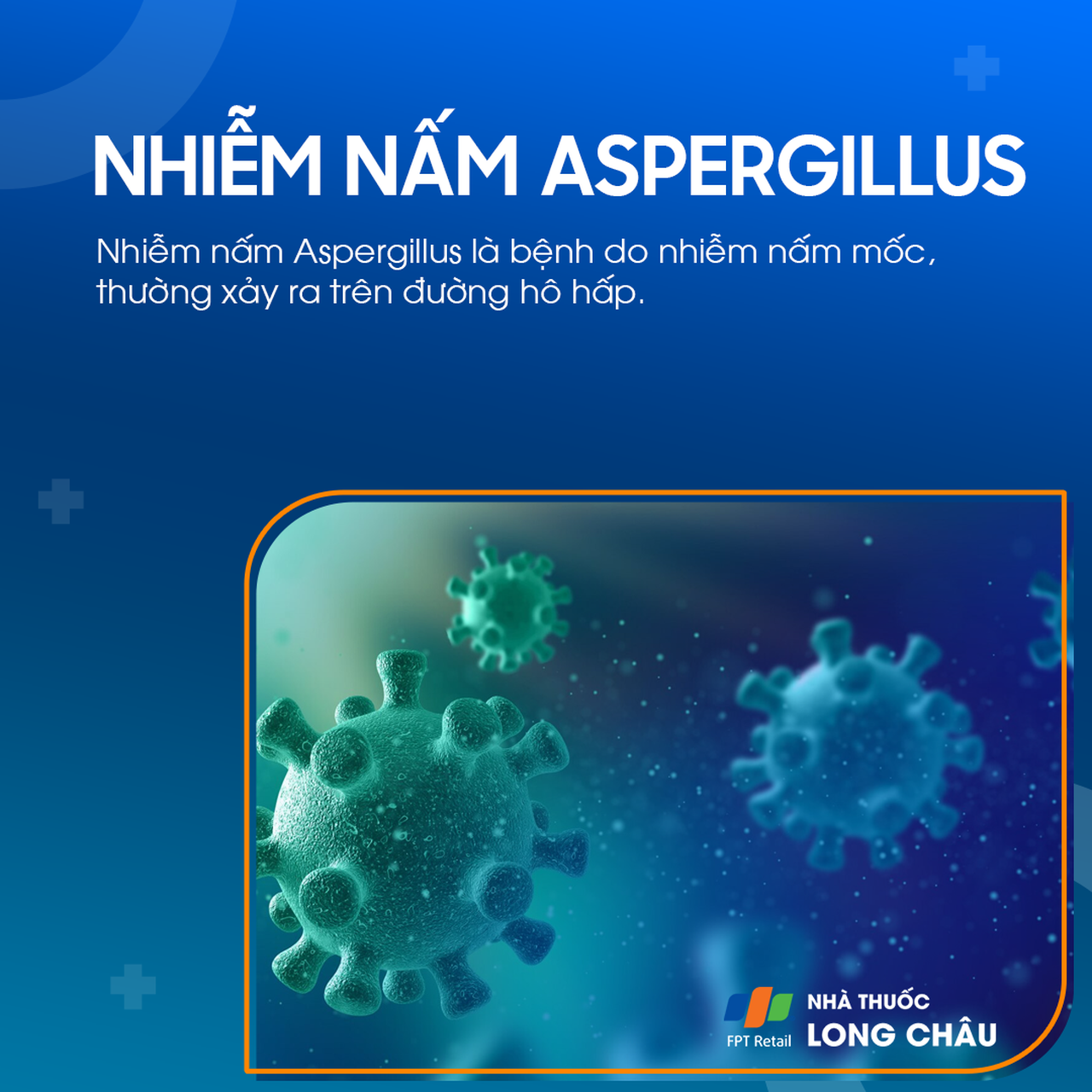 Nhiễm nấm Aspergillus 1