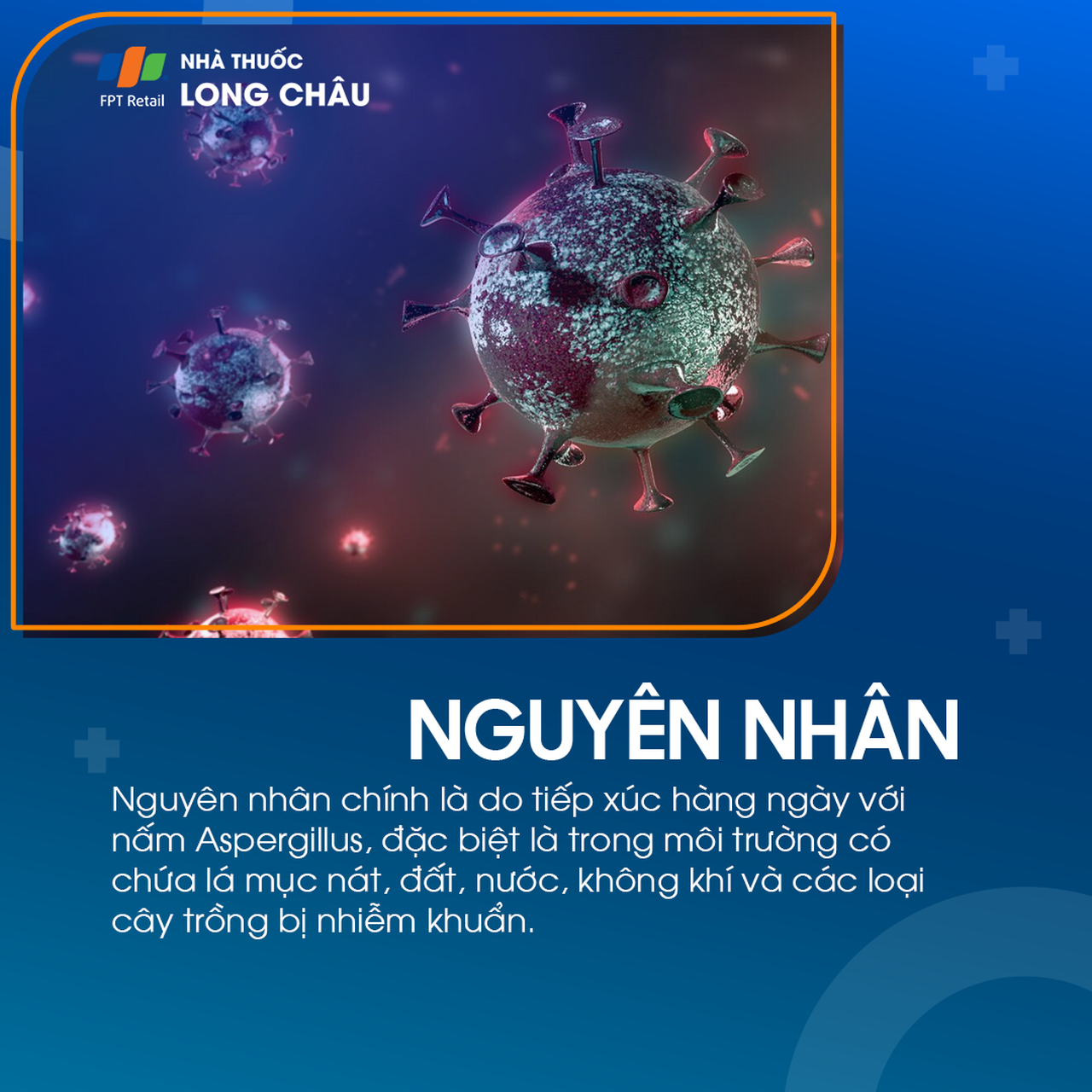 Nhiễm nấm Aspergillus 4