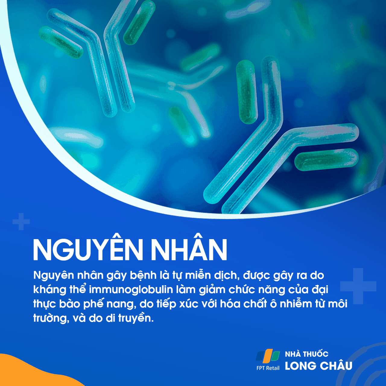 Bệnh tích protein phế nang 3