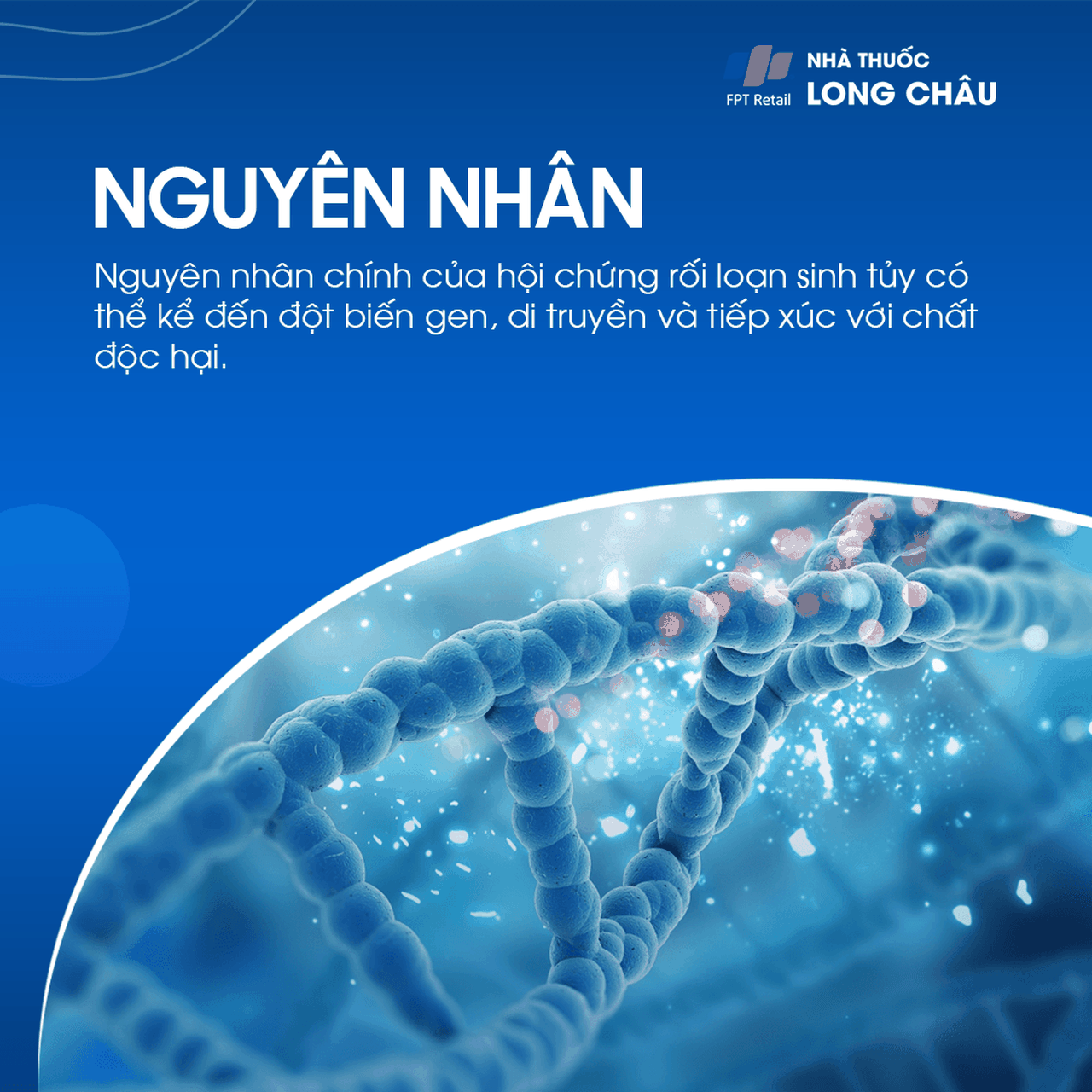 Rối loạn sinh tủy 3