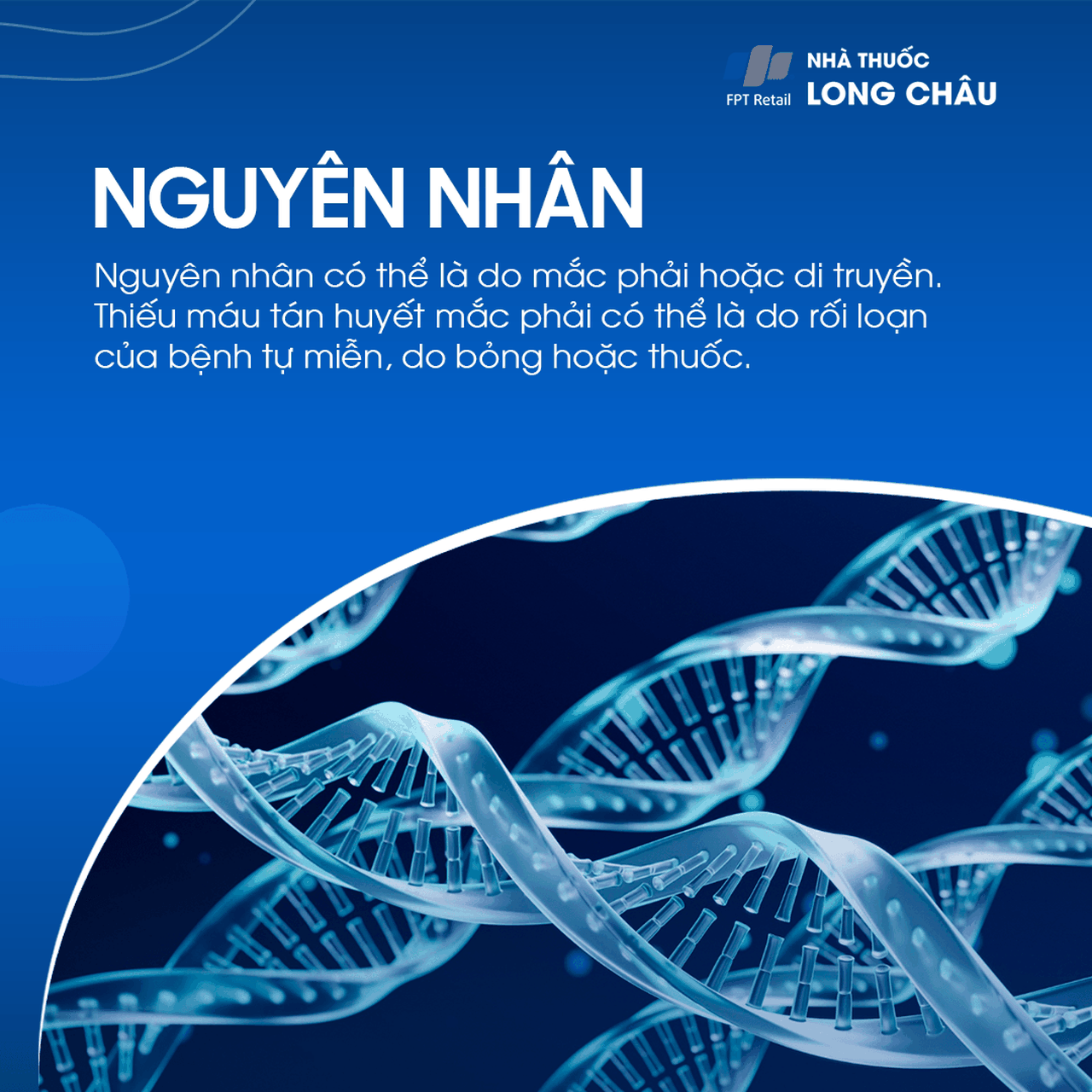 Thiếu máu tán huyết 5