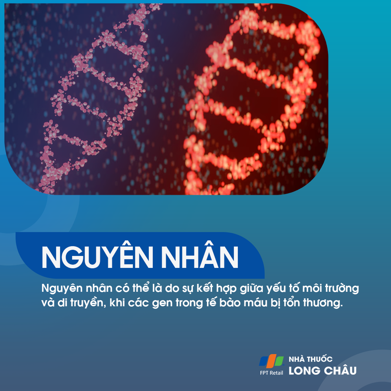 Ung thư bạch cầu 4