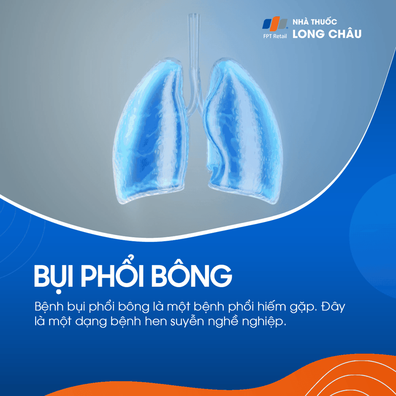 Bụi phổi bông 1