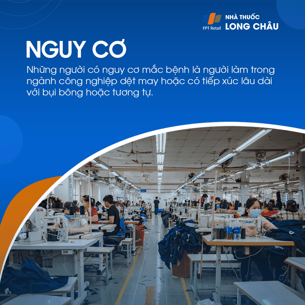 Bụi phổi bông 4