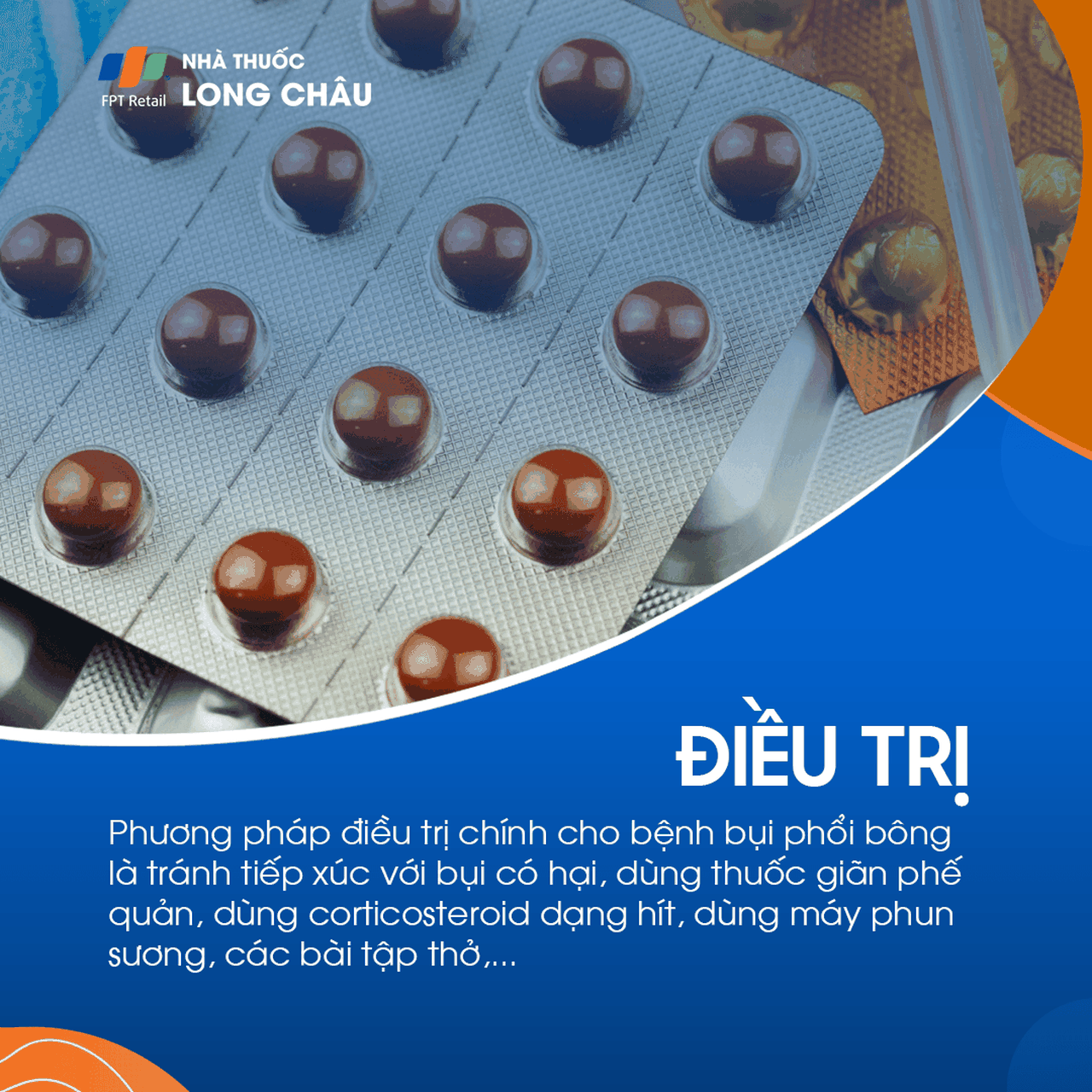 Bụi phổi bông 6