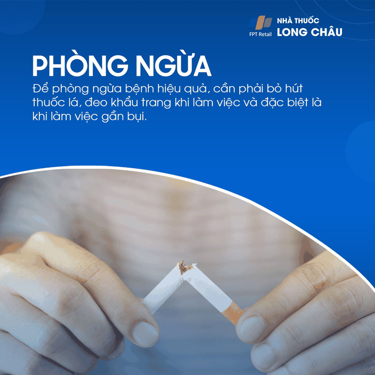 Bụi phổi bông 7