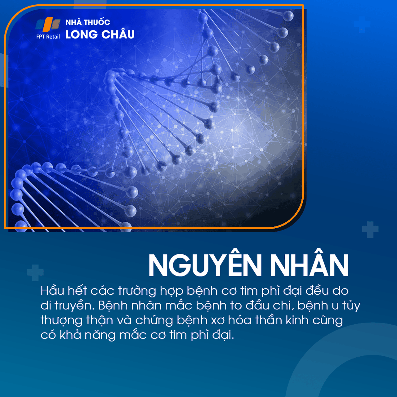 Cơ tim phì đại 3