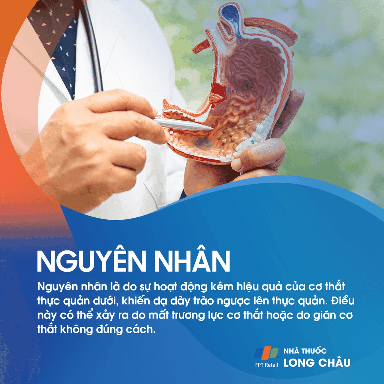 Nguyên nhân trào ngược dạ dày do cơ thắt thực quản yếu