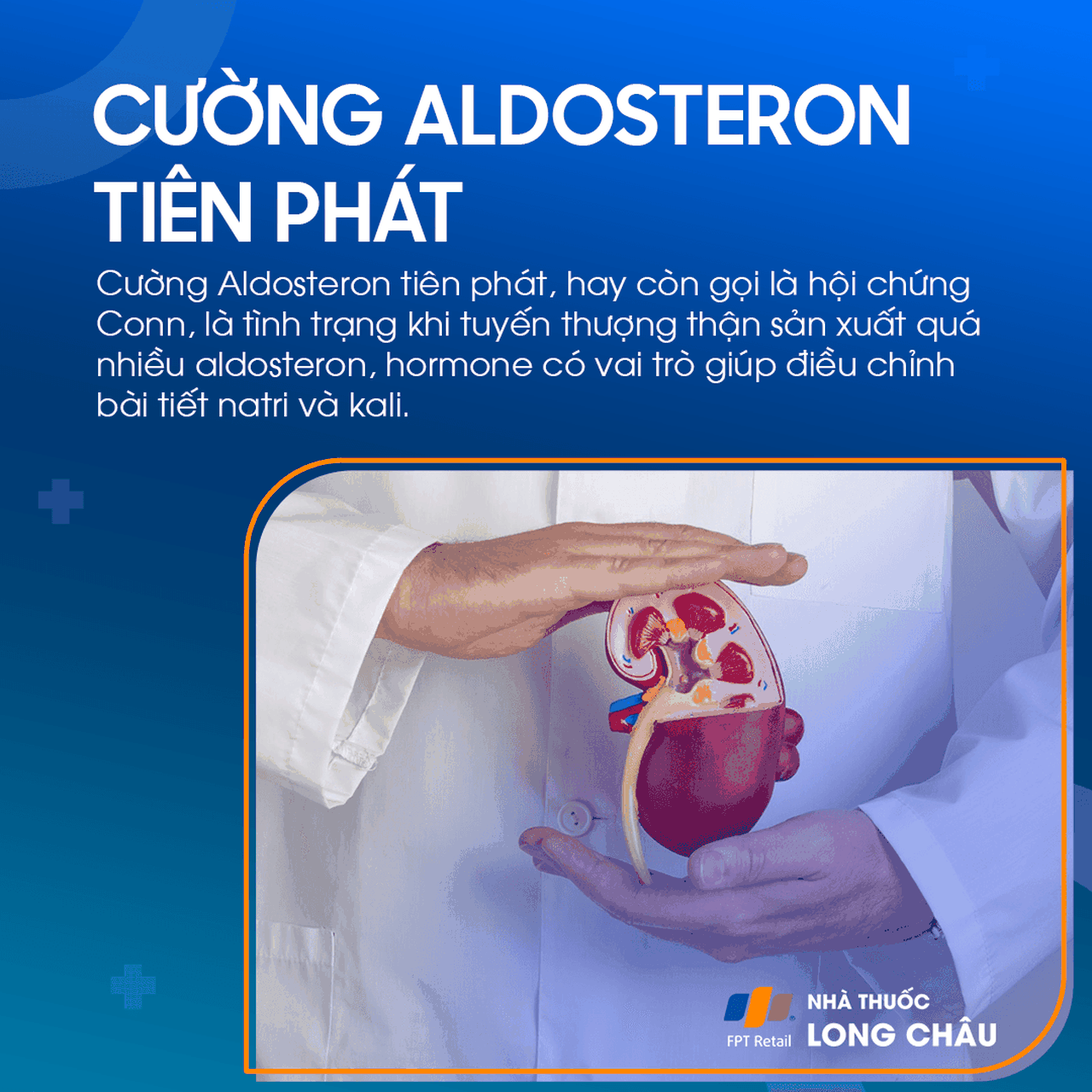 Cường Aldosteron tiên phát 1