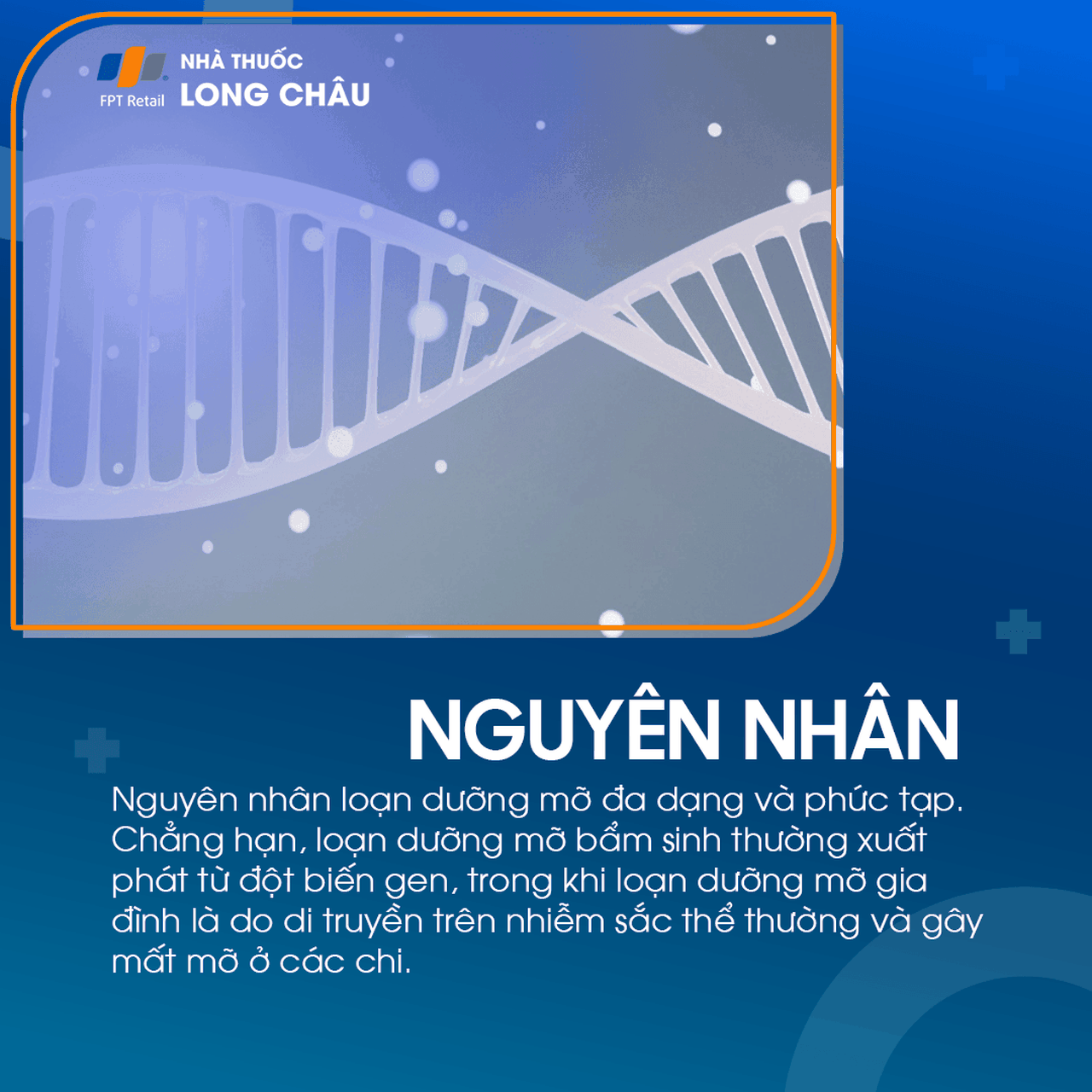 Loạn dưỡng mỡ 2