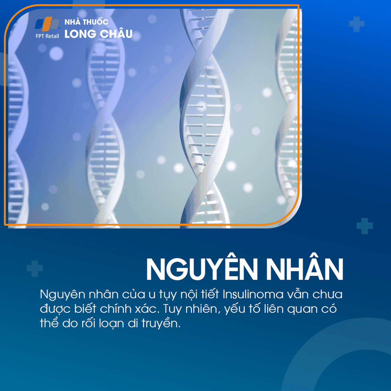 U tụy nội tiết Insulinoma 3