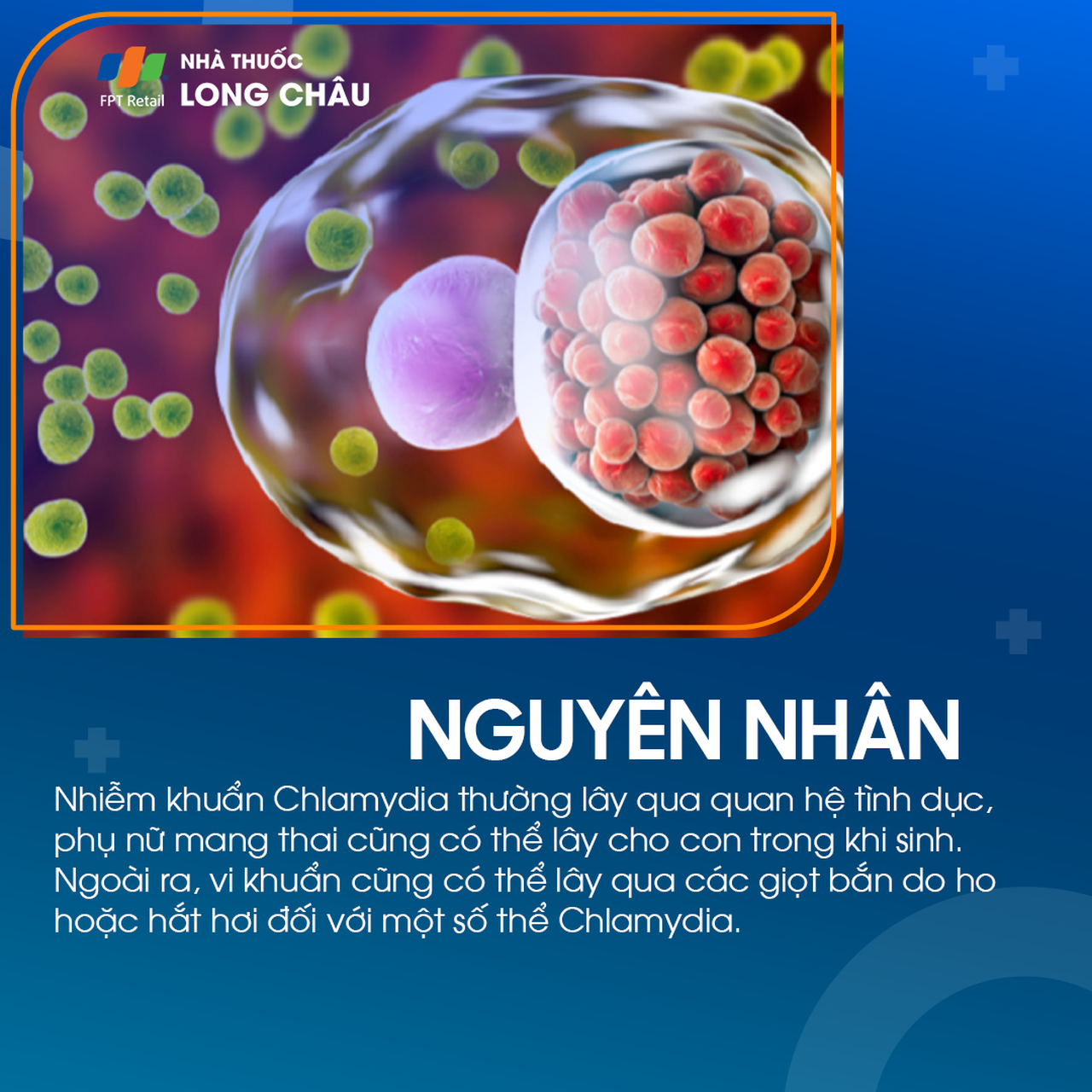 Nhiễm khuẩn chalamydia 3