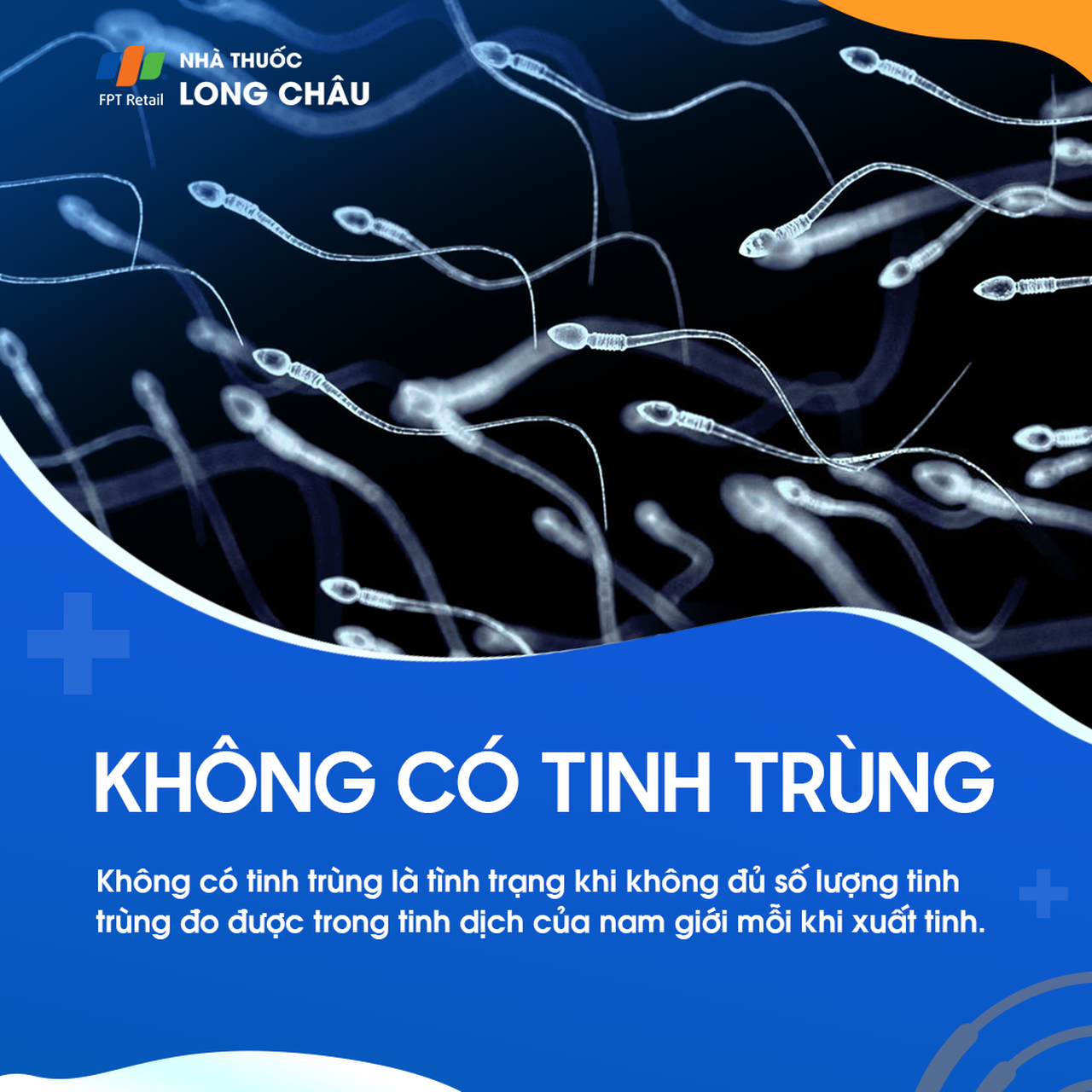 Không có tinh trùng 1