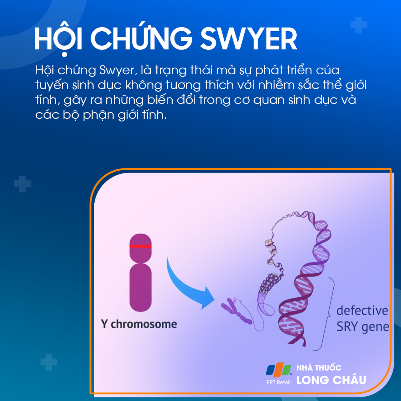 Hội chứng swyer 1