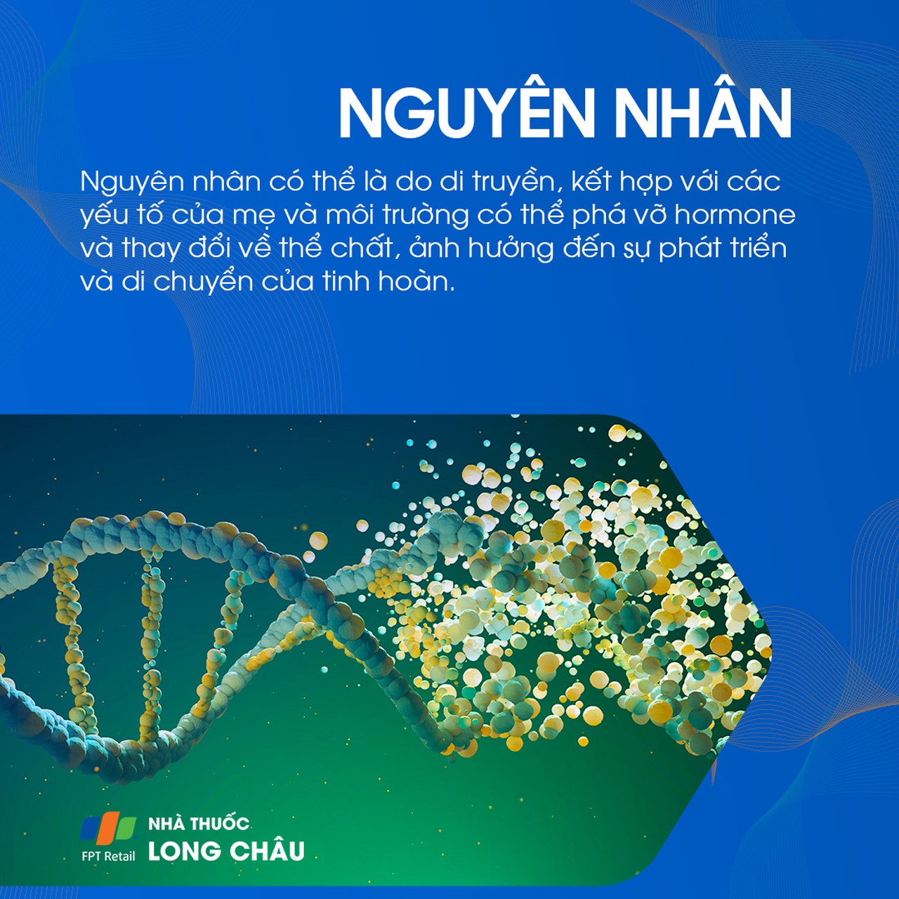 Tinh hoàn lạc chỗ 3