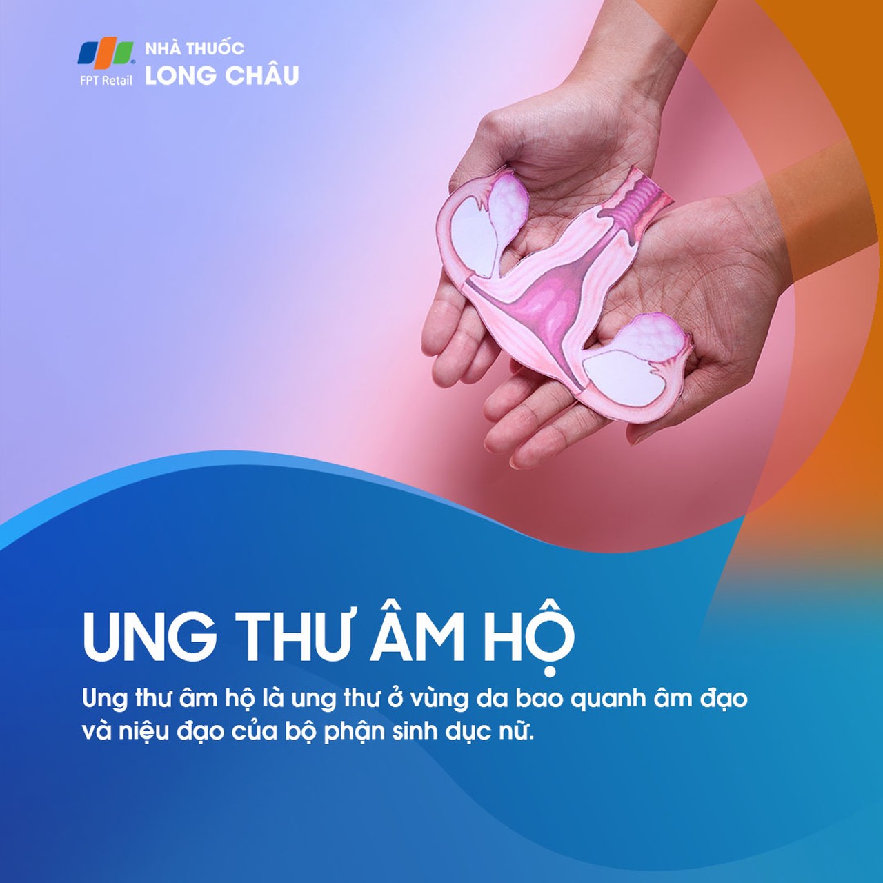 Ung thư âm hộ là sự phát triển bất thường của tế bào ở vùng âm hộ
